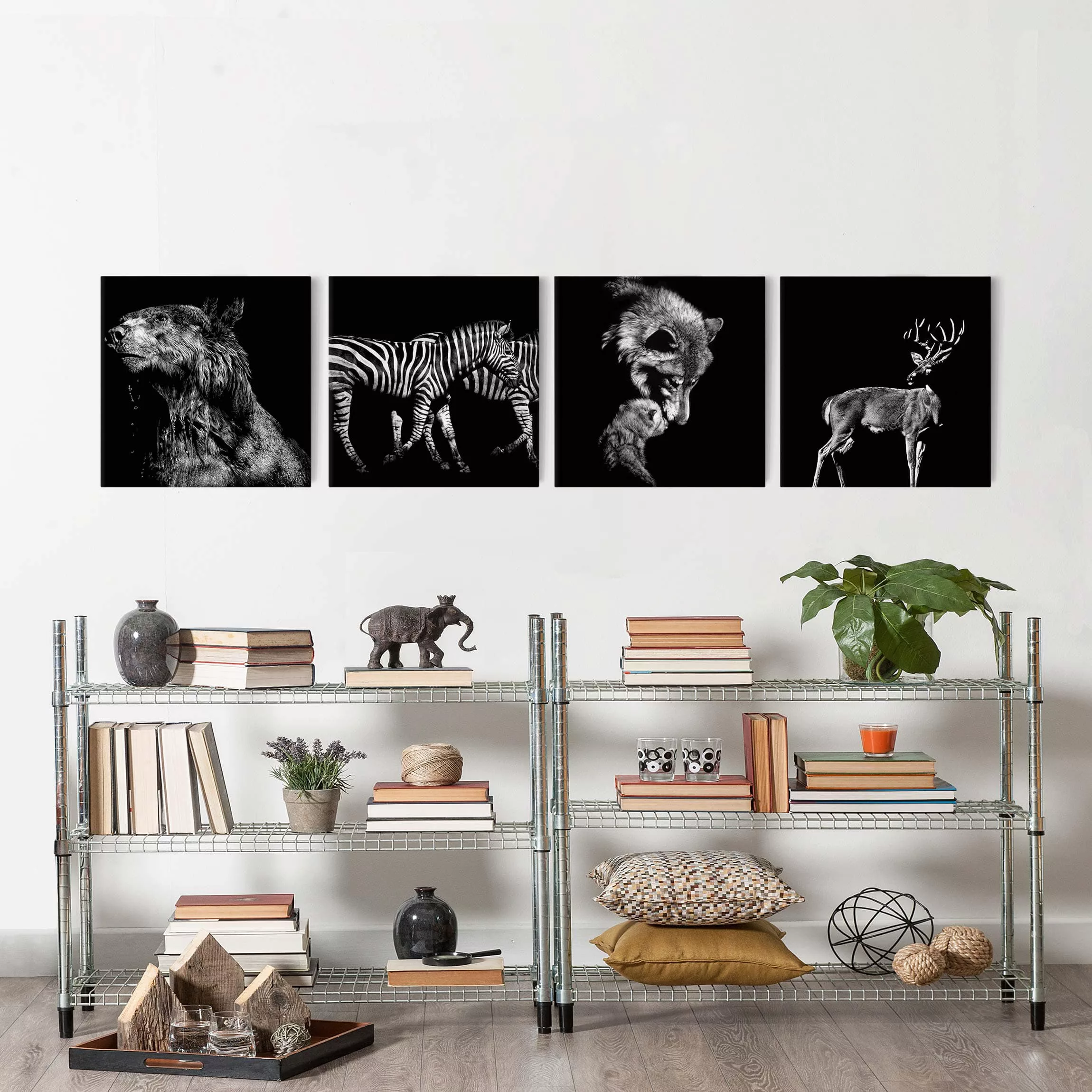 4-teiliges Leinwandbild Schwarz-Weiß - Quadrat Wildtiere vor Schwarz Set I günstig online kaufen