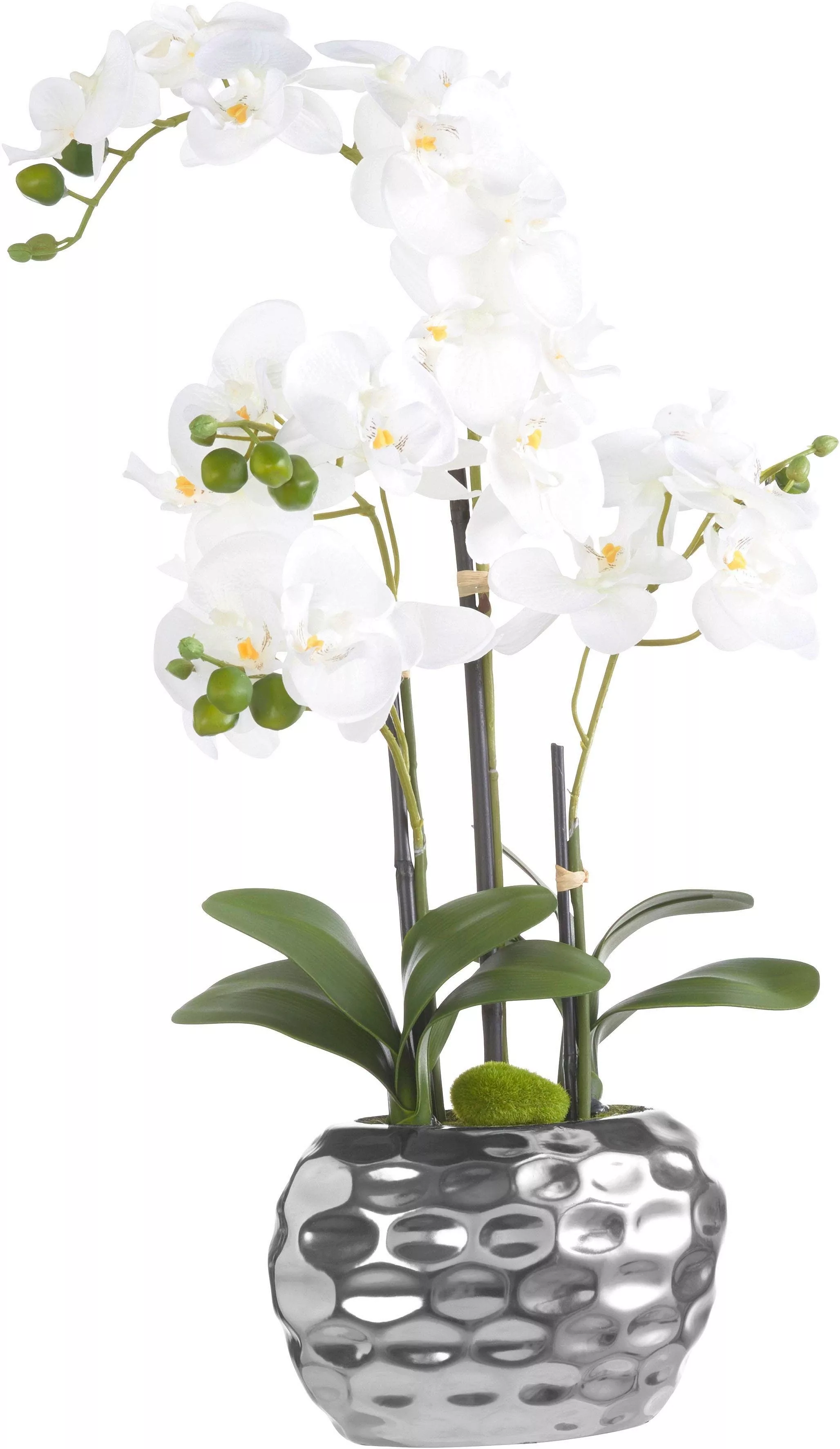 Creativ green Kunstpflanze "Orchidee" günstig online kaufen