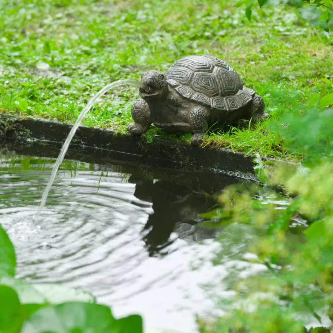 Ubbink Wasserspeier Schildkröte günstig online kaufen