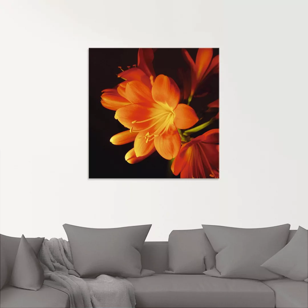 Artland Glasbild "Clivie in leuchtendem Orange", Blumen, (1 St.), in versch günstig online kaufen
