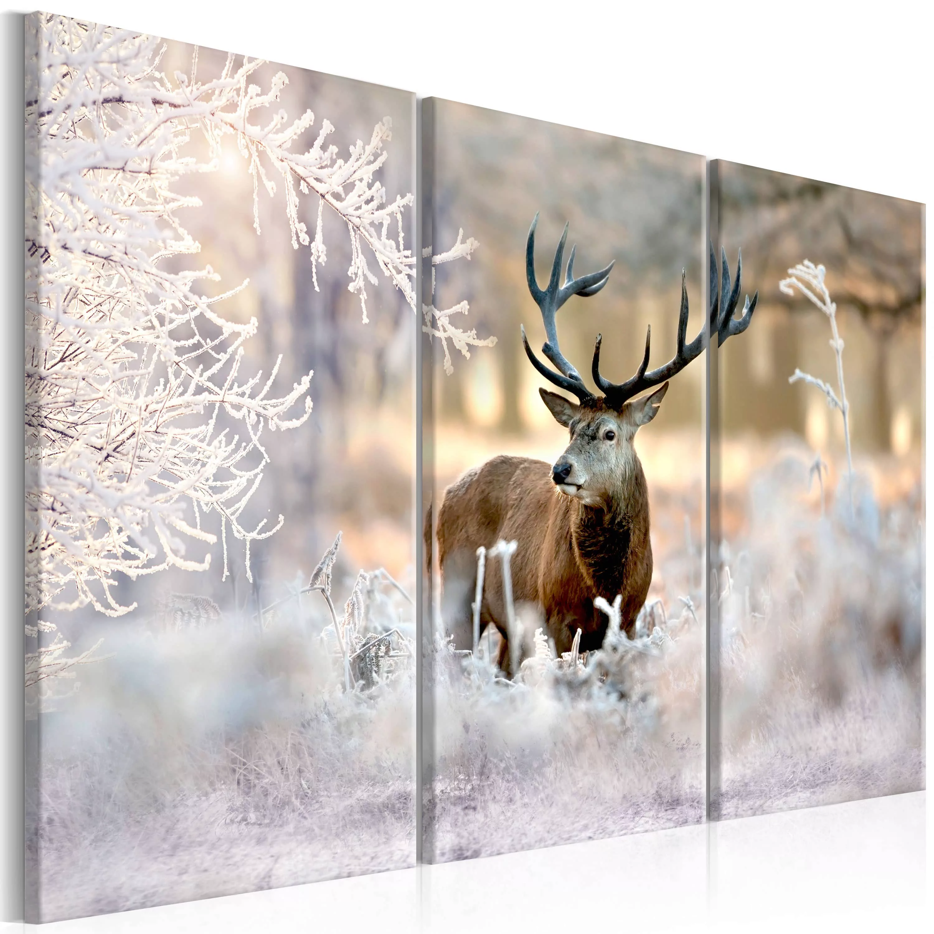 Wandbild - Deer in the Cold I günstig online kaufen