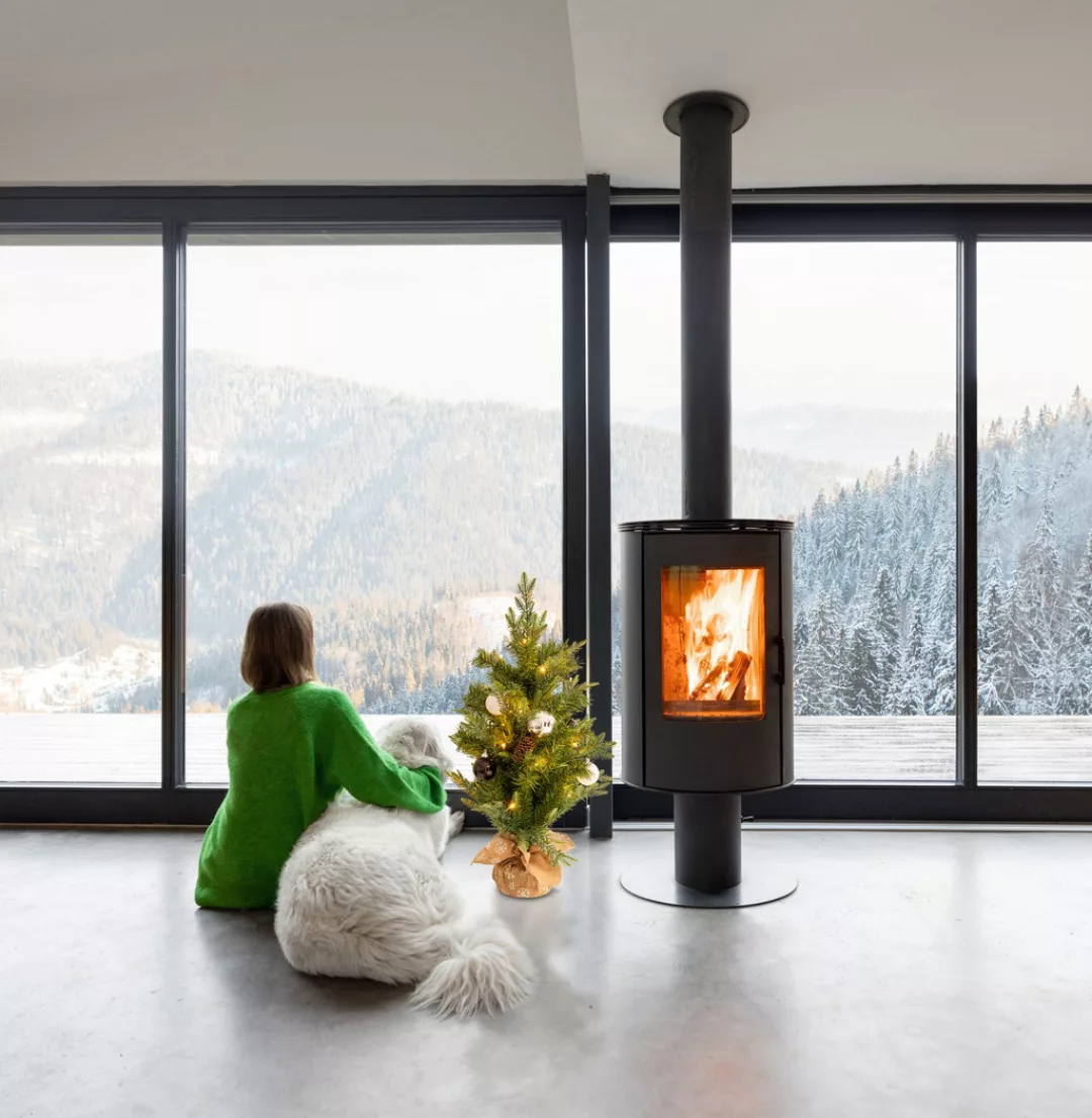 näve LED Dekoobjekt »Weihnachtsbaum«, 1 flammig, Für Aussen geeignet (vor H günstig online kaufen
