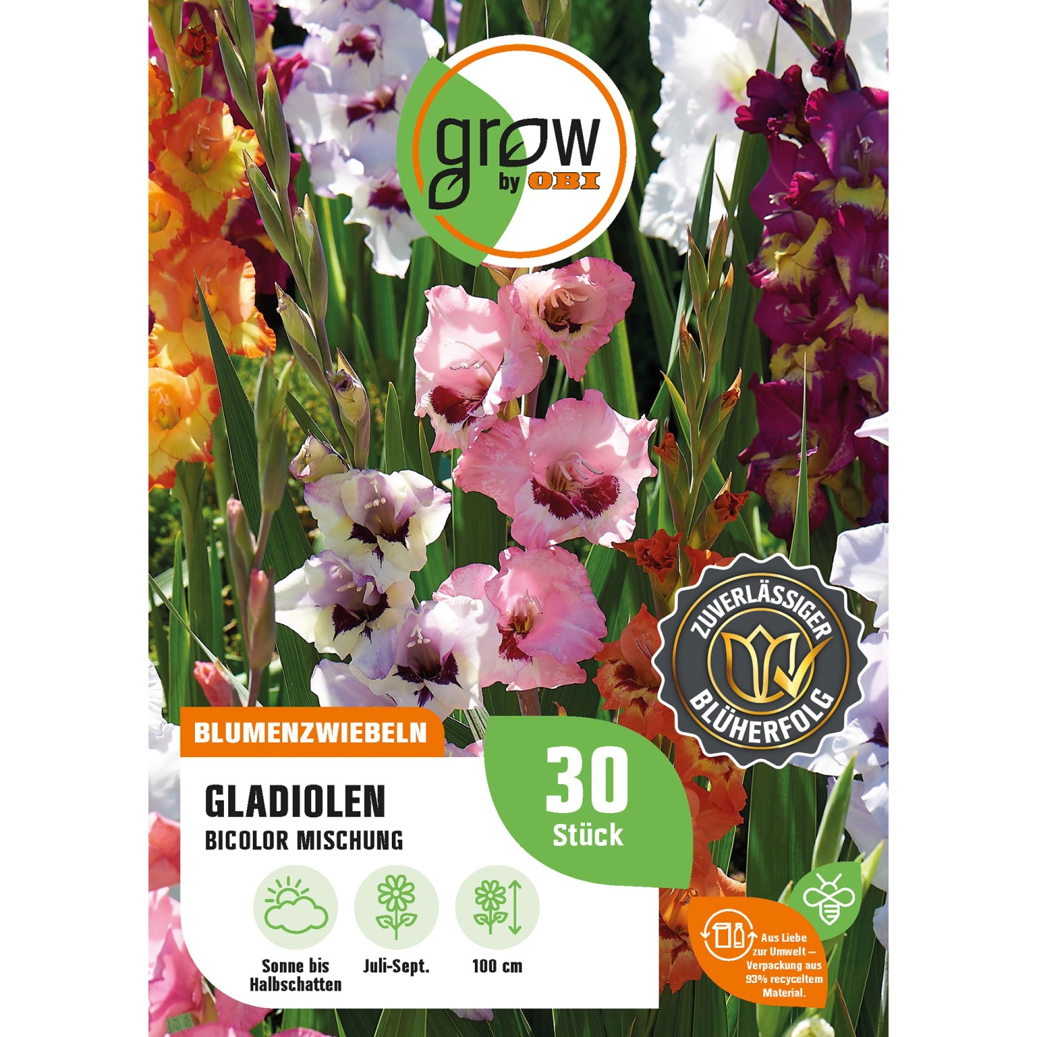 GROW by OBI Gladiolen Bicolor Mischung Höhe ca. 100 cm Gladiolus grandiflor günstig online kaufen