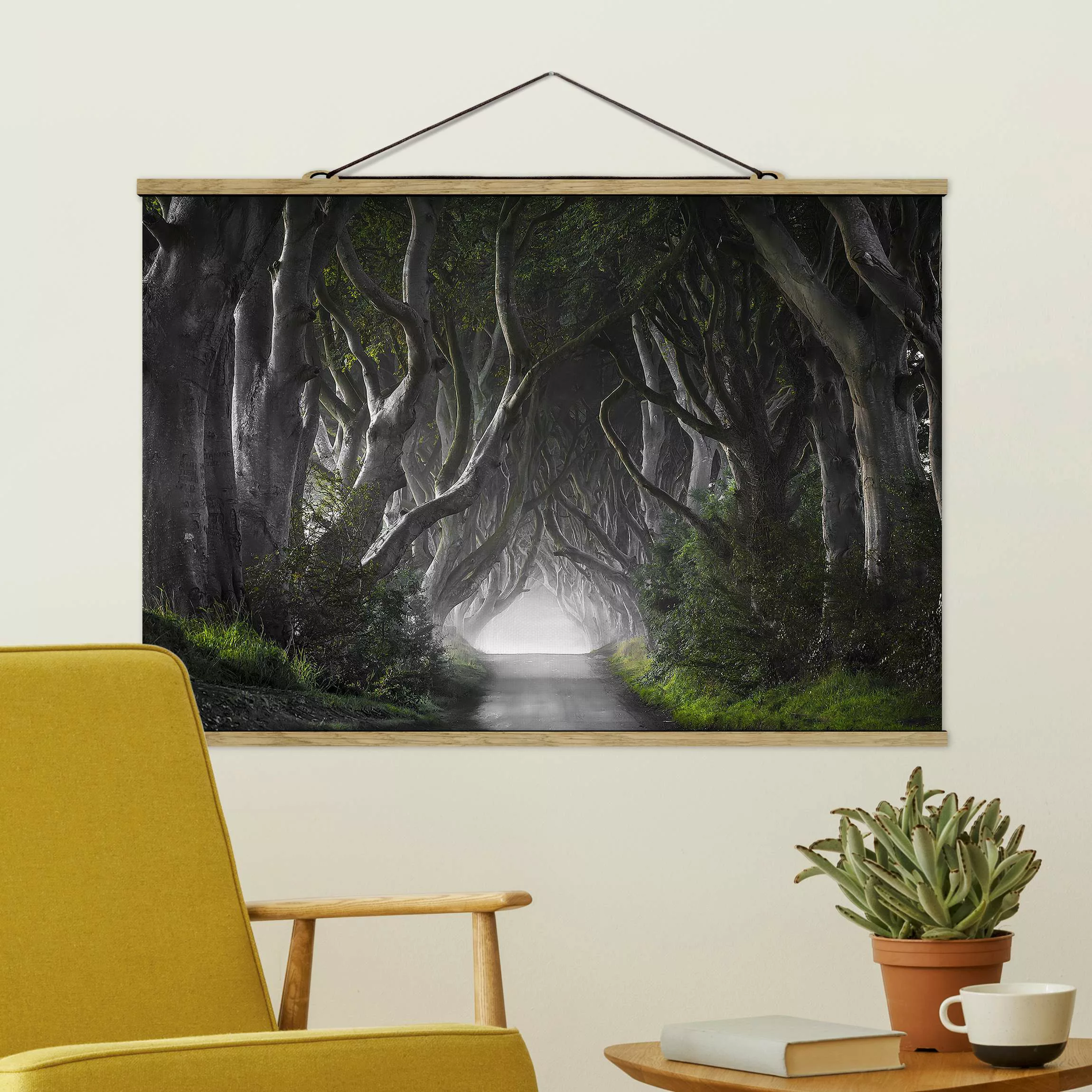 Stoffbild Landschaft mit Posterleisten - Querformat Wald in Nordirland günstig online kaufen