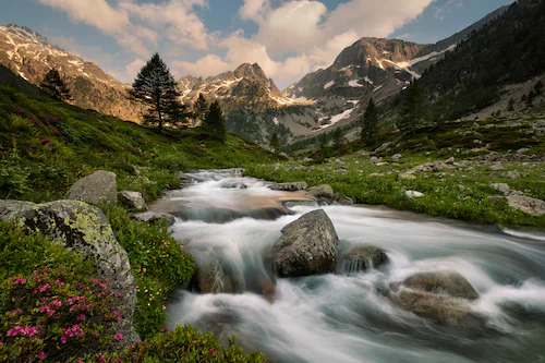 Papermoon Fototapete »Photo-Art PAOLO BOLLA, MARITIME ALPEN PARK« günstig online kaufen