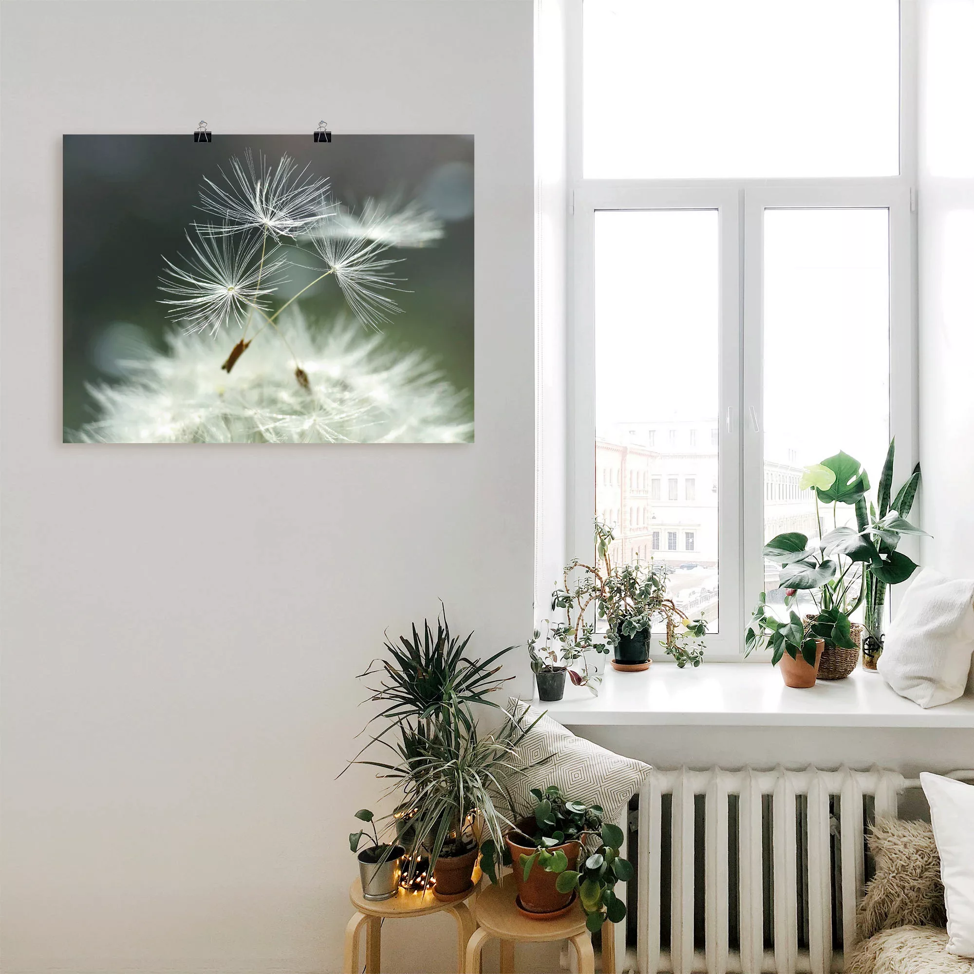 Artland Wandbild "Pusteblume Facility", Blumen, (1 St.), als Alubild, Outdo günstig online kaufen