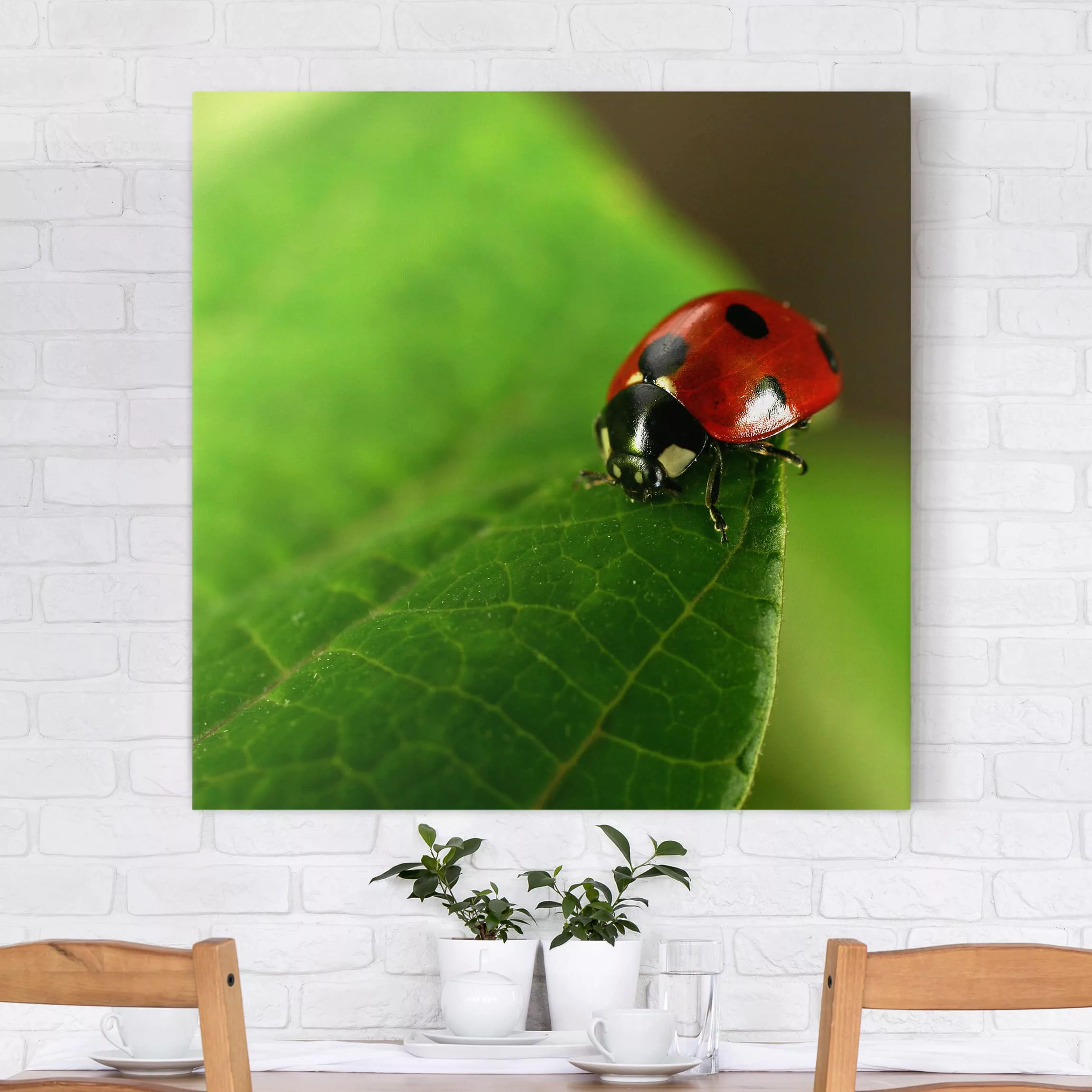 Leinwandbild Tiere - Quadrat Lady Bird günstig online kaufen