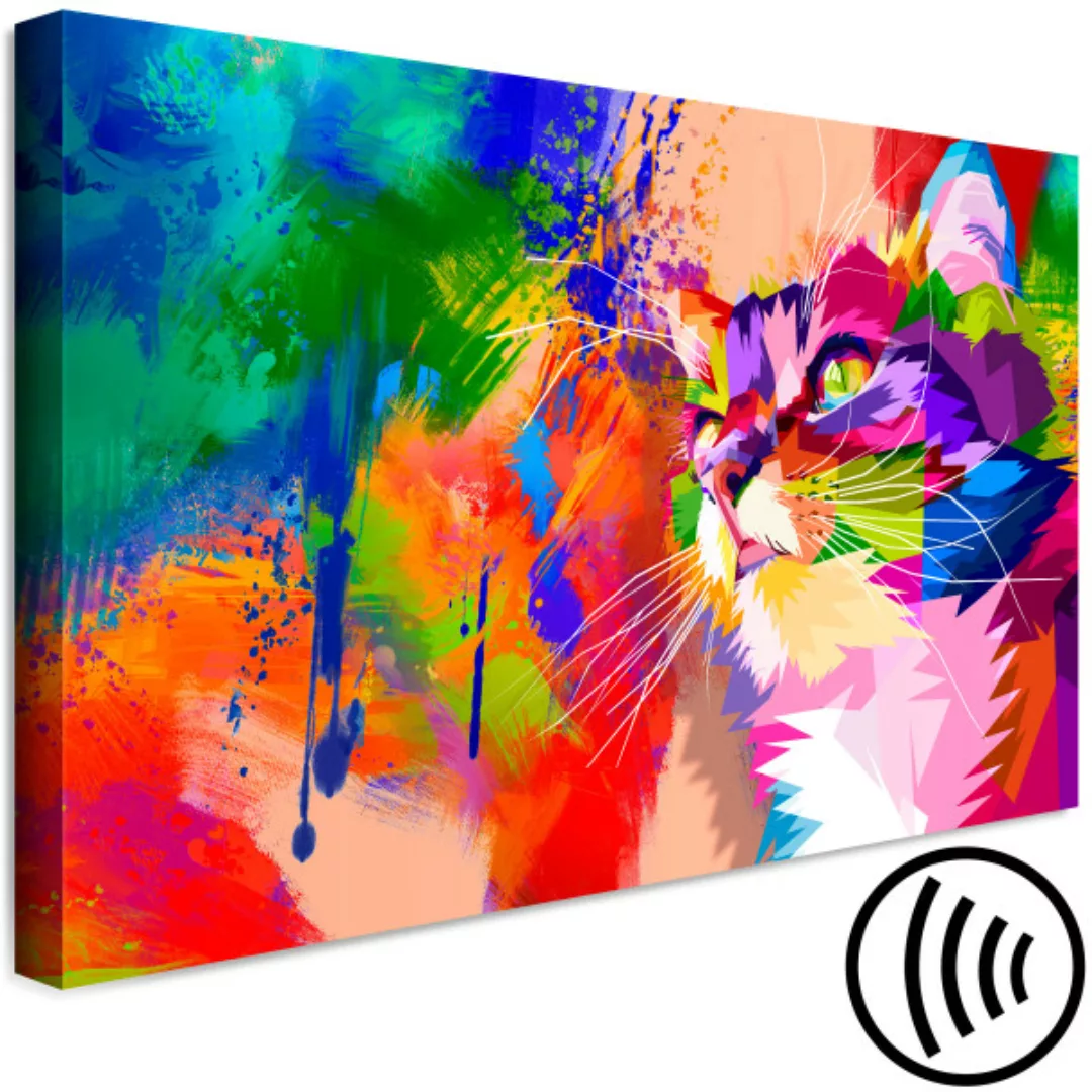 Wandbild Colourful Cat (1 Part) Wide XXL günstig online kaufen