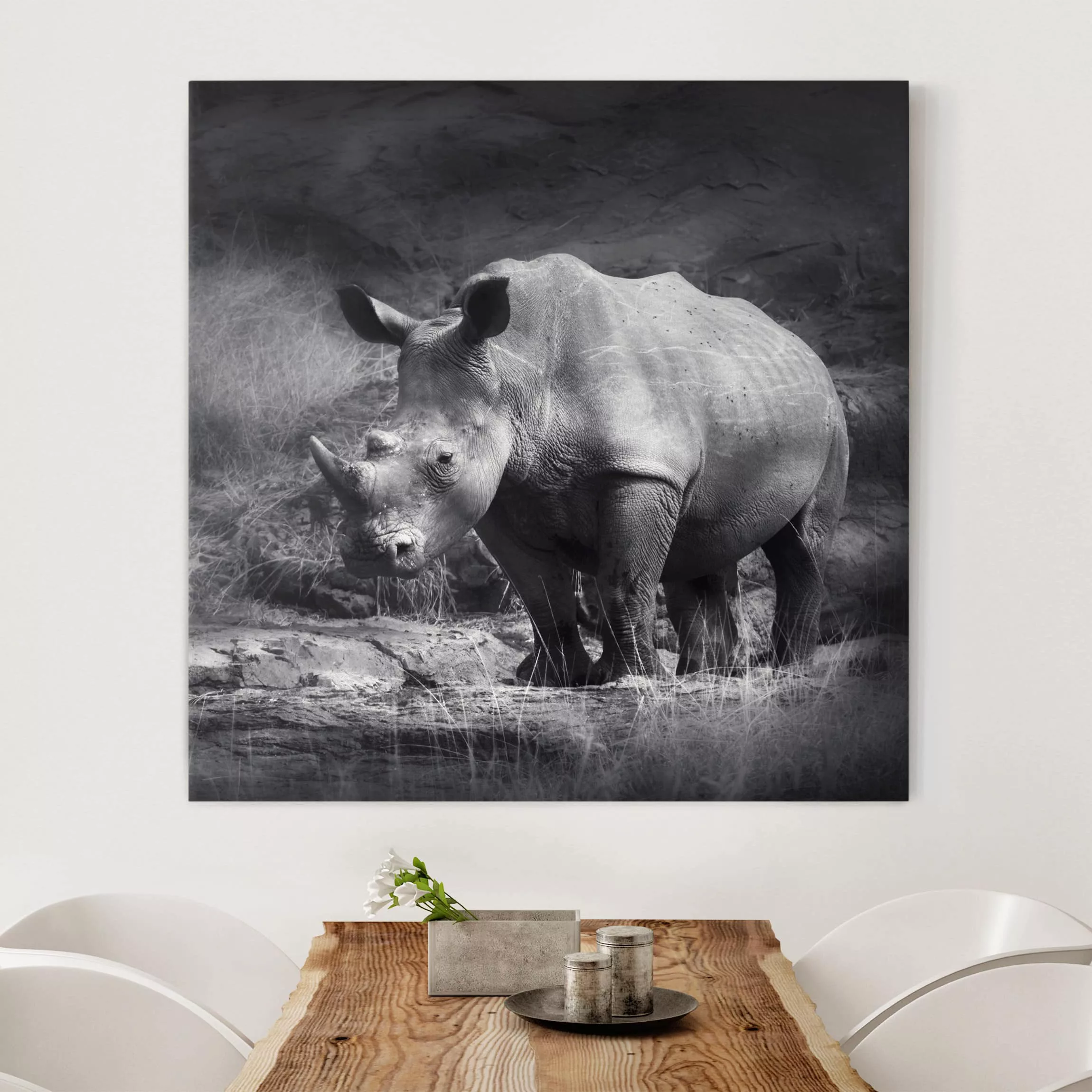 Leinwandbild Tiere - Quadrat Lonesome Rhinoceros günstig online kaufen