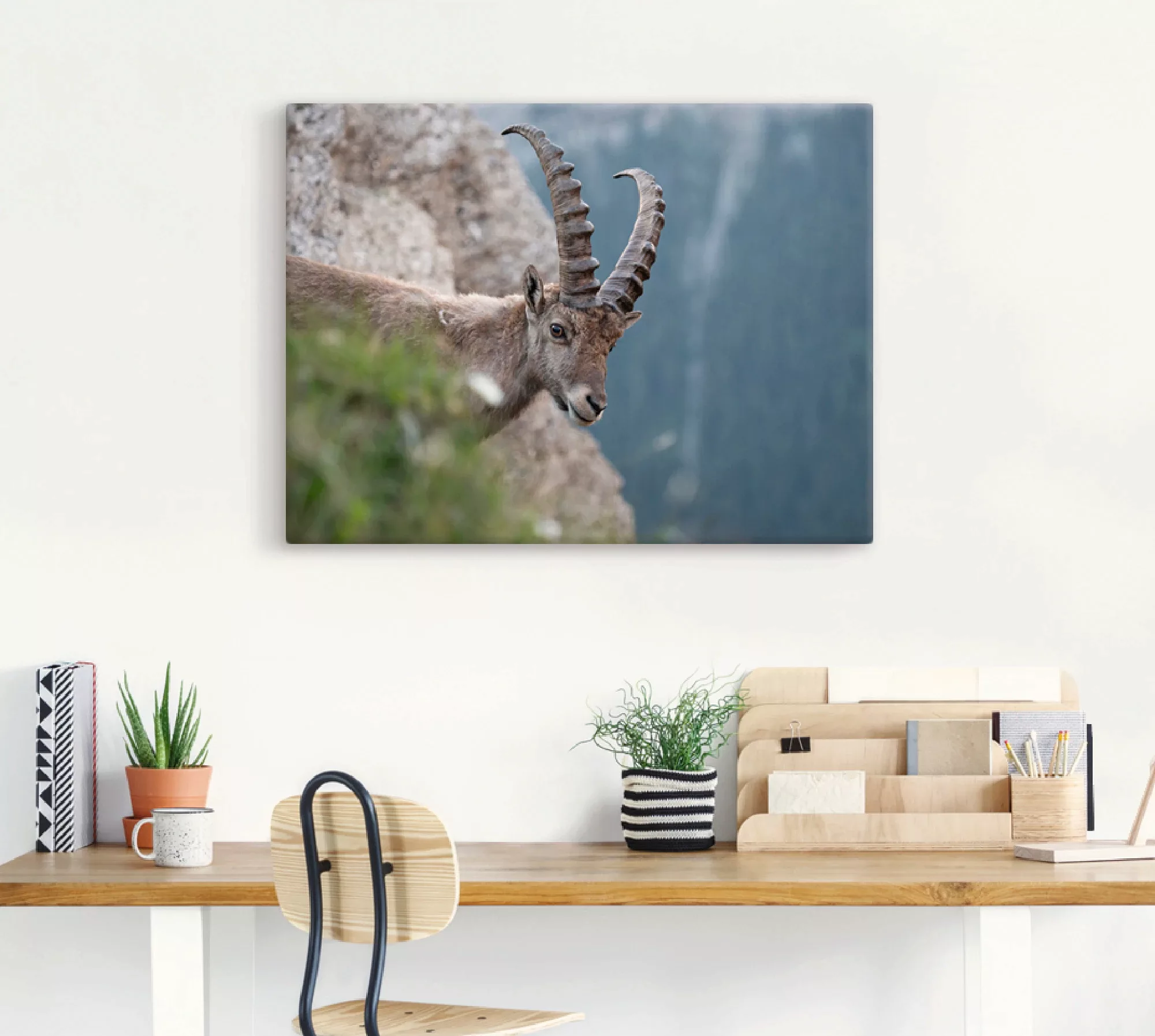 Artland Leinwandbild »Steinbock«, Wildtiere, (1 St.), auf Keilrahmen gespan günstig online kaufen