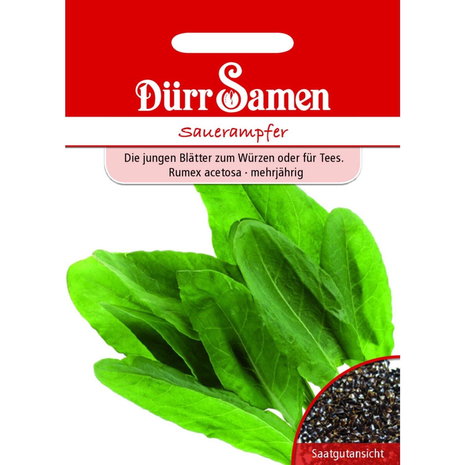 Dürr Samen Sauerampfer Saatgut günstig online kaufen