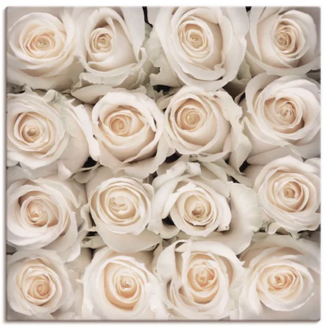 Artland Leinwandbild "Weiße Rosenkreation", Blumen, (1 St.) günstig online kaufen