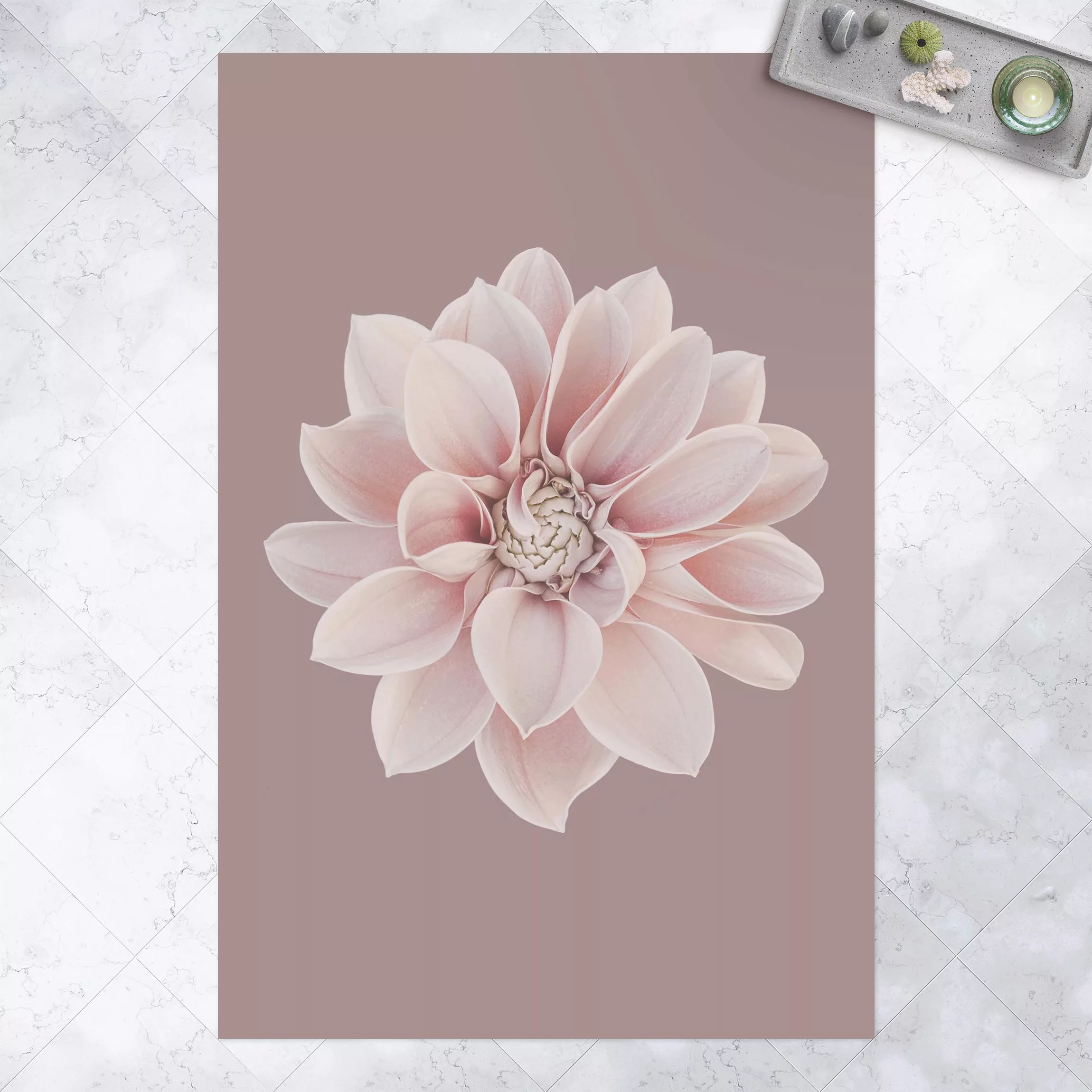 Vinyl-Teppich Dahlie Blume Lavendel Weiß Rosa günstig online kaufen