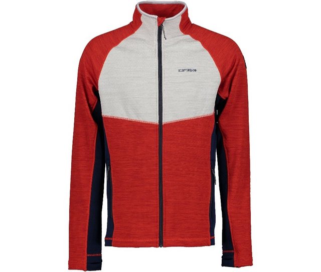 Icepeak Fleecejacke ICEPEAK DELTON günstig online kaufen