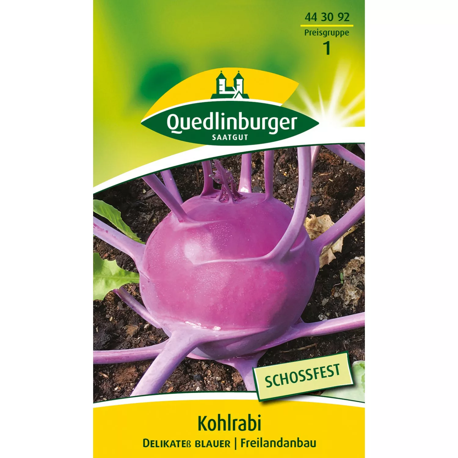 Quedlinburger Kohlrabi ''Delikateß blauer'' günstig online kaufen