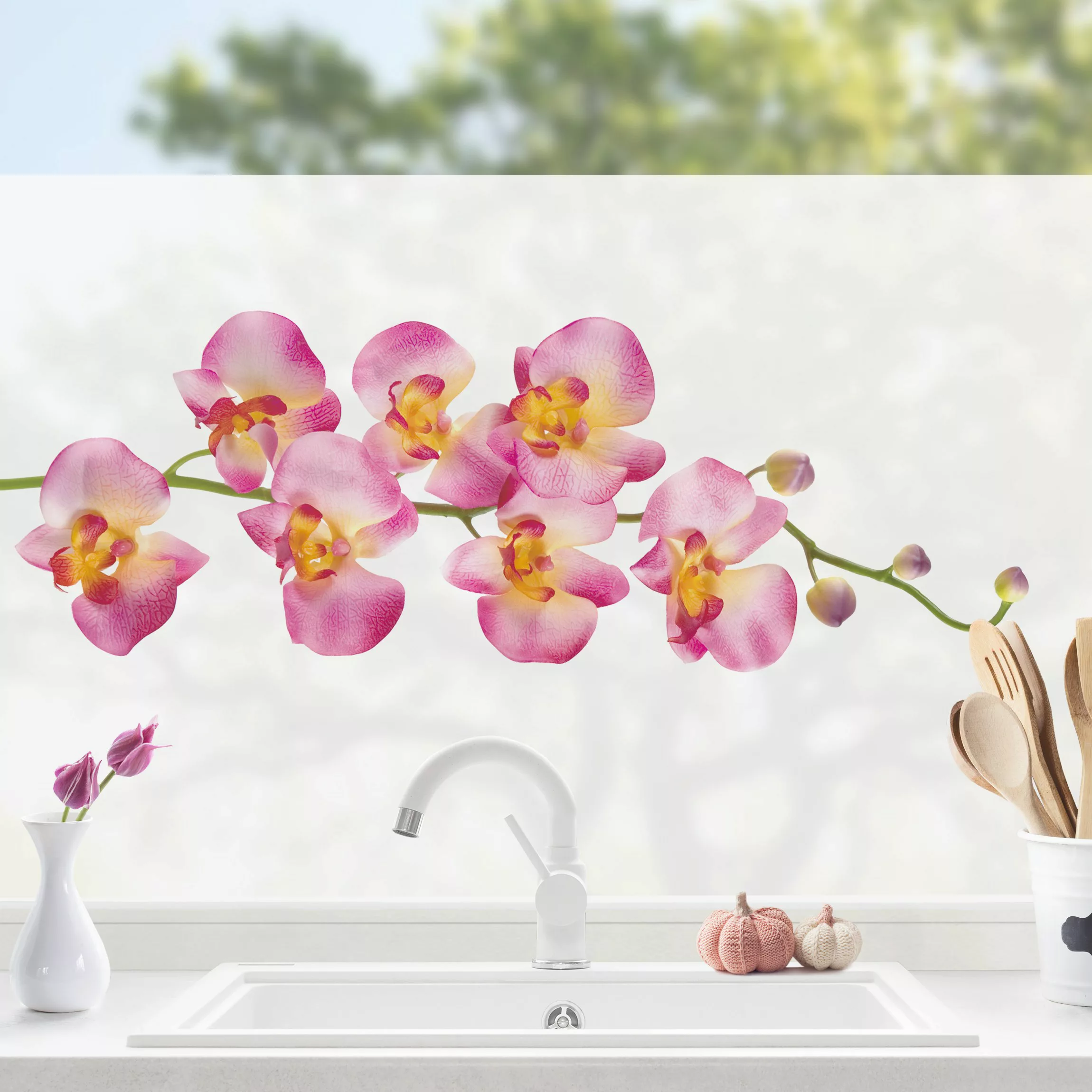 Fensterfolie No.177 Orchidee Rosa II günstig online kaufen