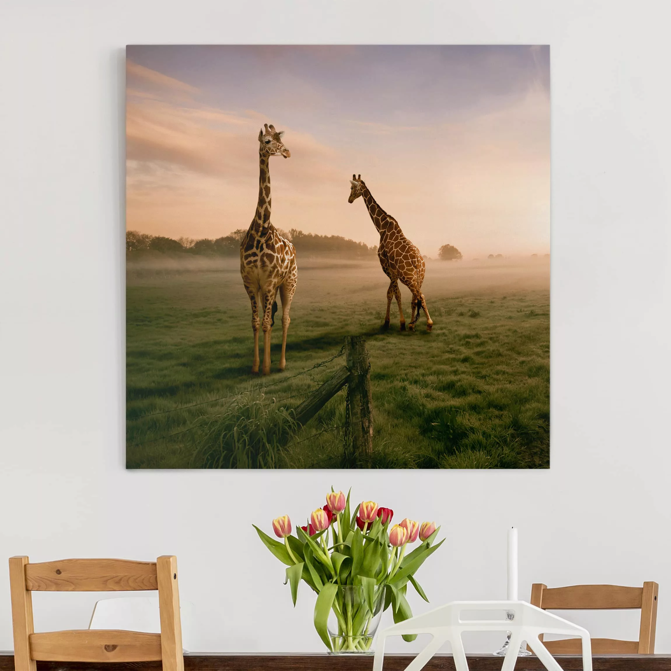 Leinwandbild Tiere - Quadrat Surreal Giraffes günstig online kaufen