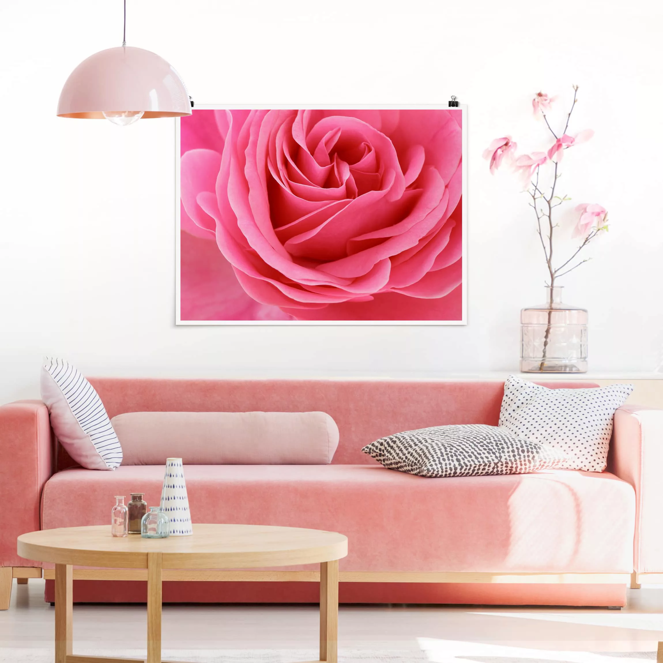 Poster Blumen - Querformat Lustful Pink Rose günstig online kaufen