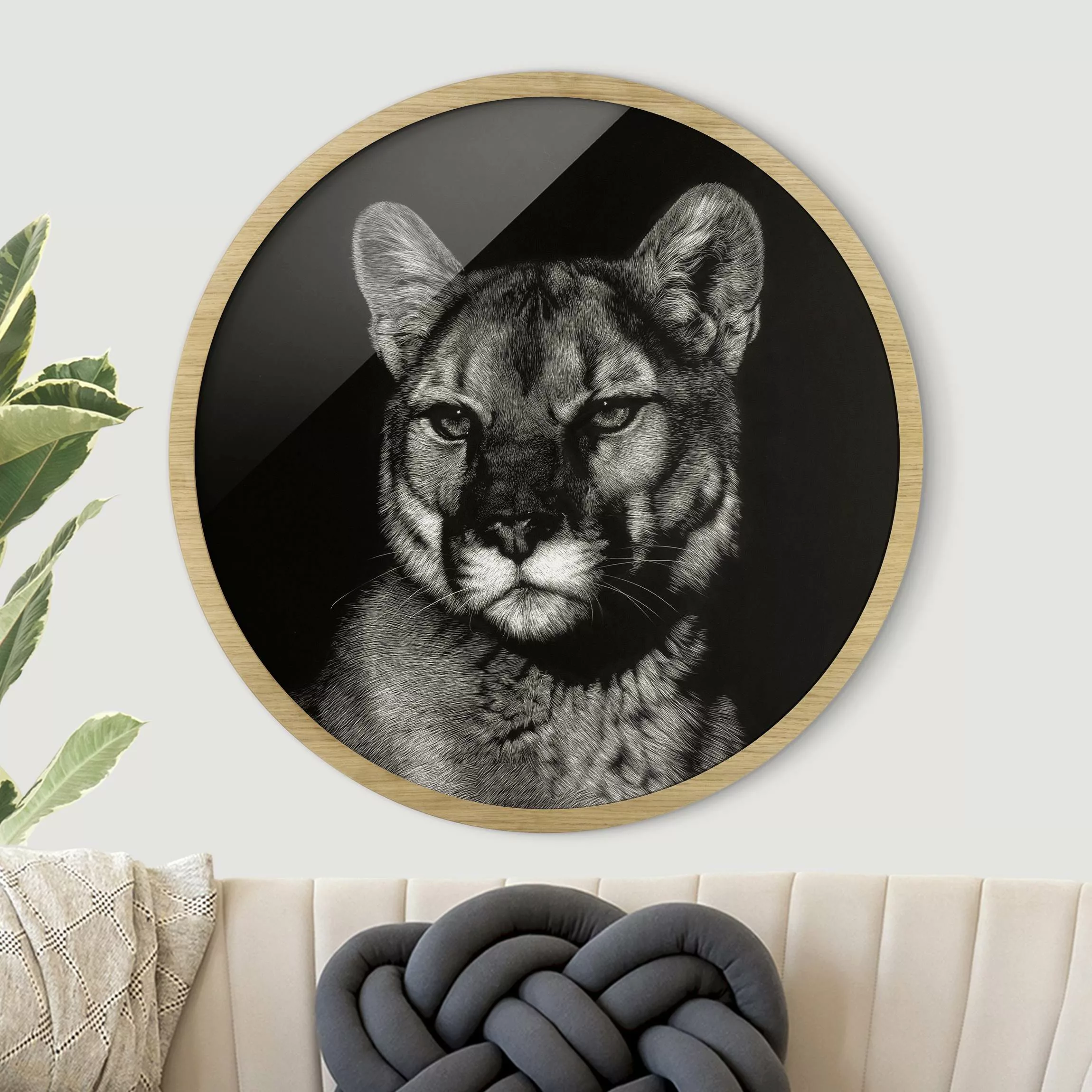 Rundes Gerahmtes Bild Puma vor Schwarz günstig online kaufen
