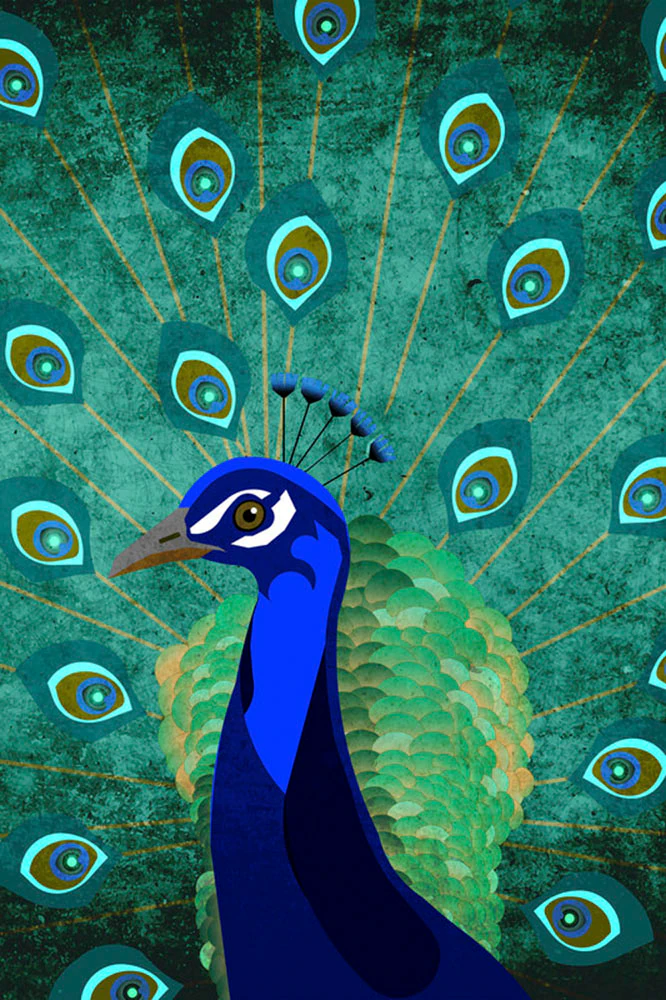 A.S. Création Leinwandbild "Peacock - Wandbild Grün Blau Keilrahmen Wandkun günstig online kaufen