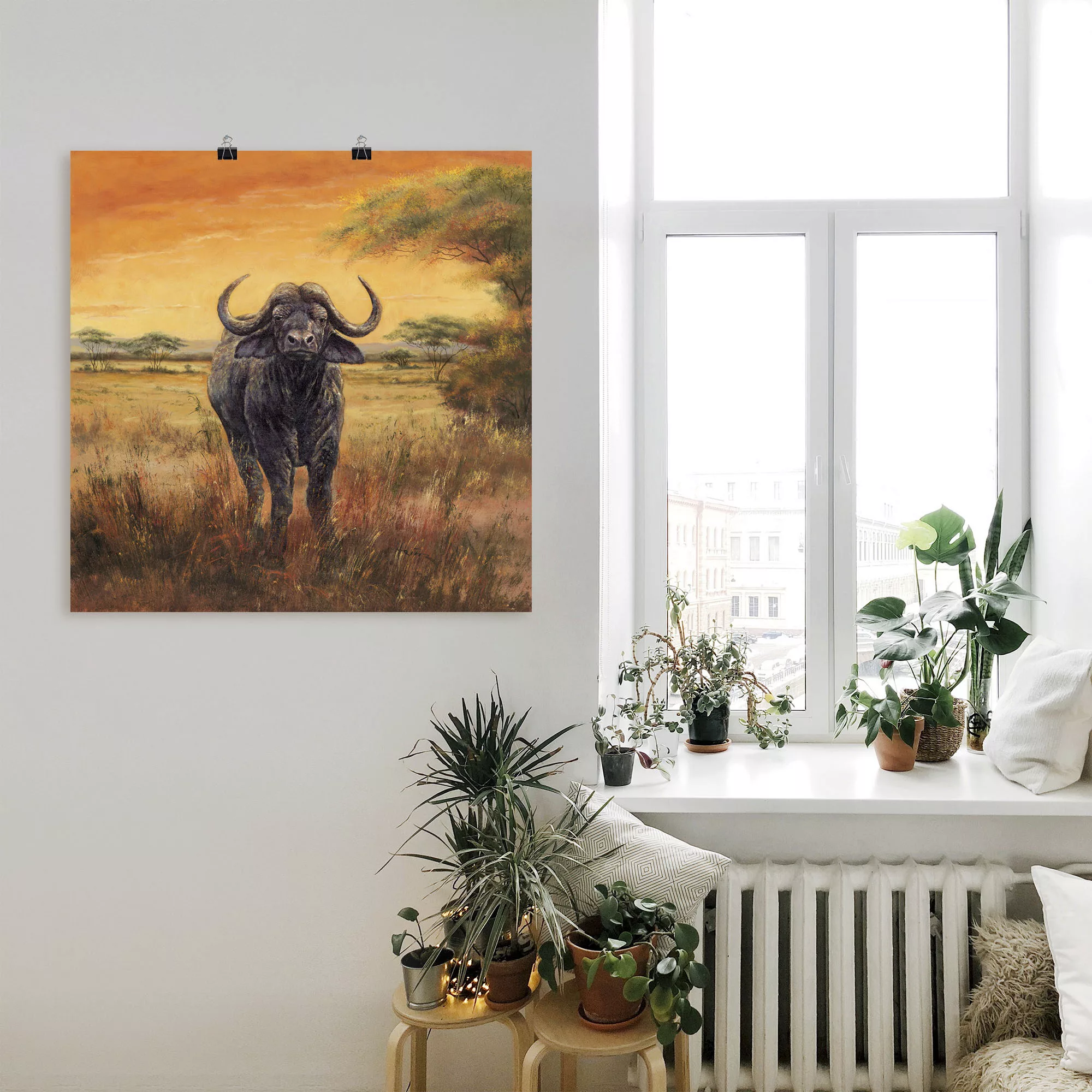 Artland Wandbild "Büffel", Wildtiere, (1 St.), als Poster, Wandaufkleber in günstig online kaufen