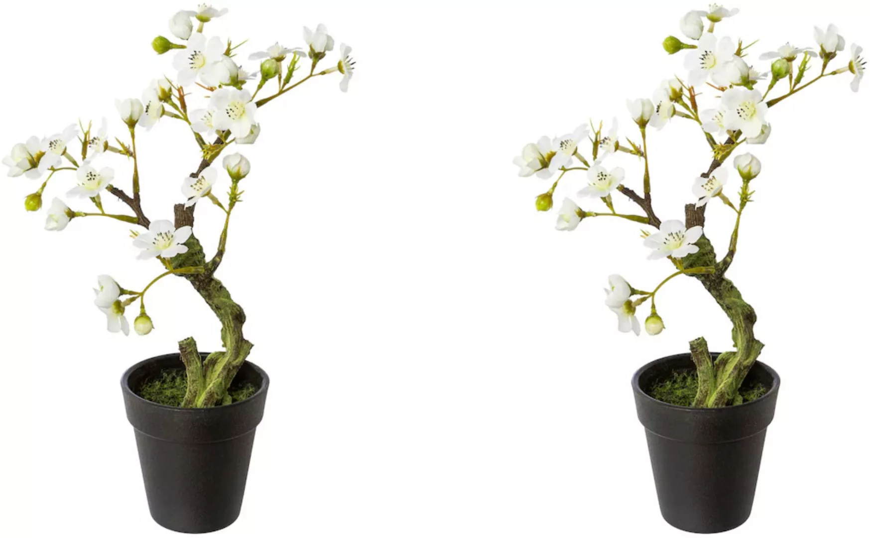 Creativ green Kunstblume "Mandelbonsai im Topf" günstig online kaufen