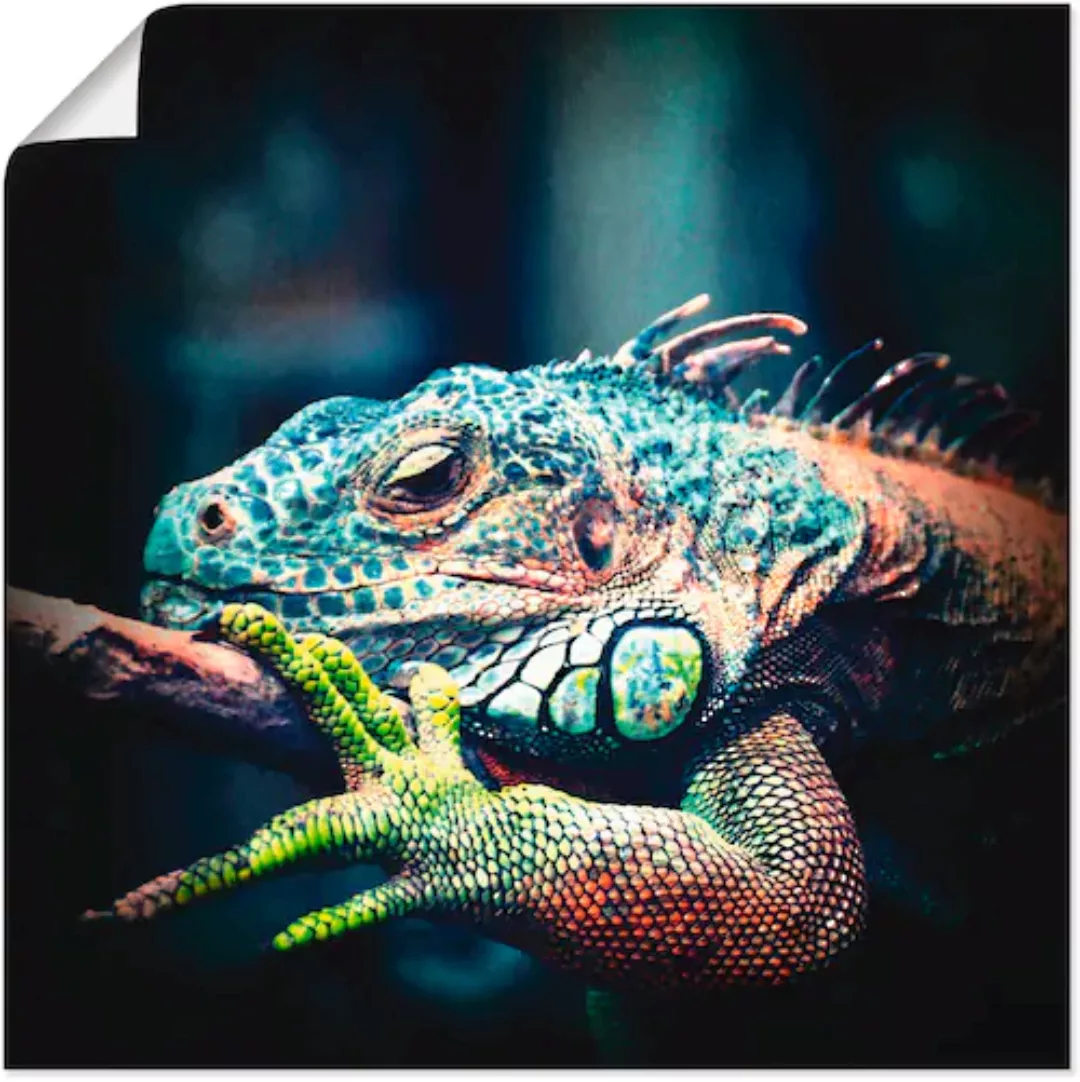 Artland Wandbild "Leguan", Reptilien, (1 St.) günstig online kaufen