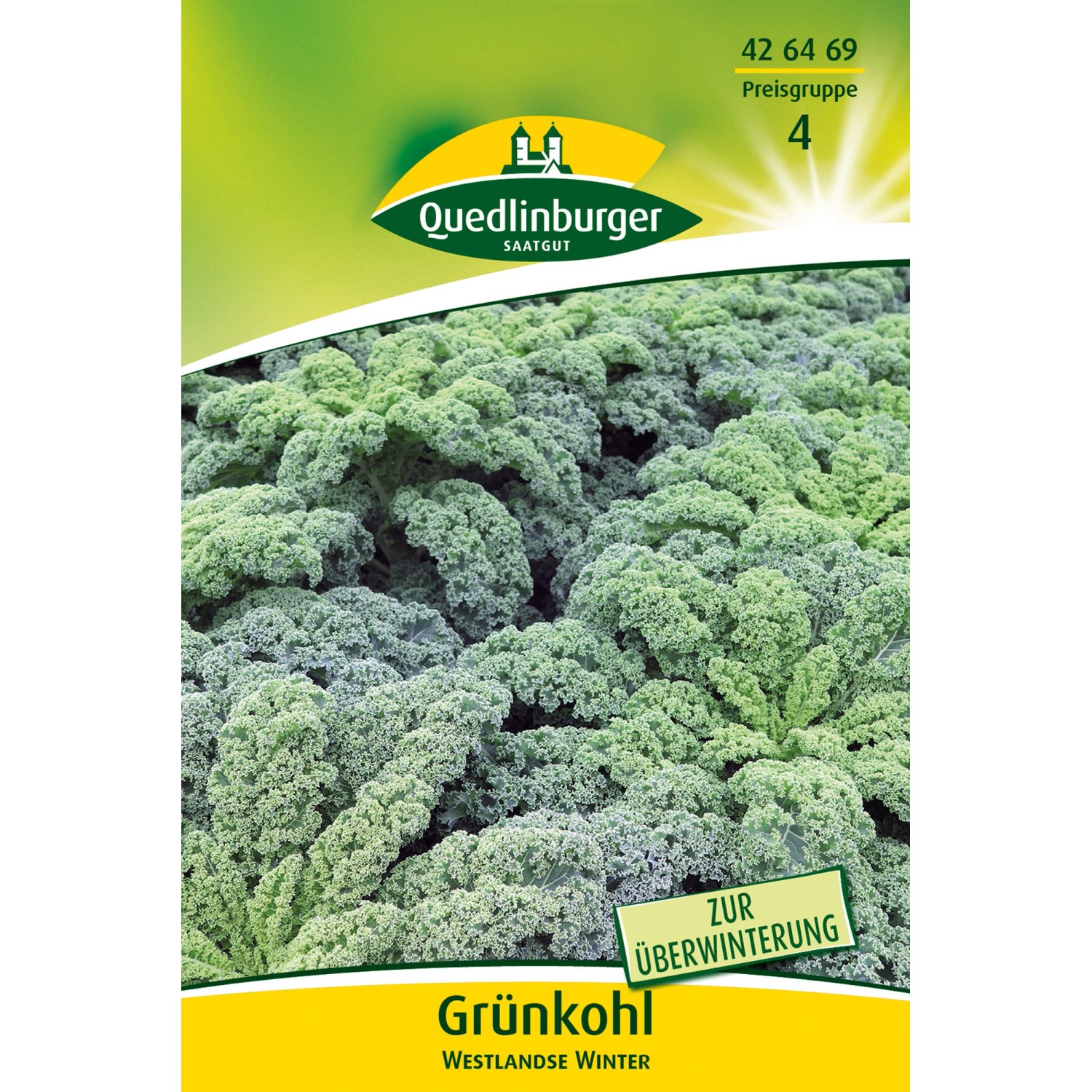 Quedlinburger Grünkohl ''Westlandse Winter'' Großpackung günstig online kaufen