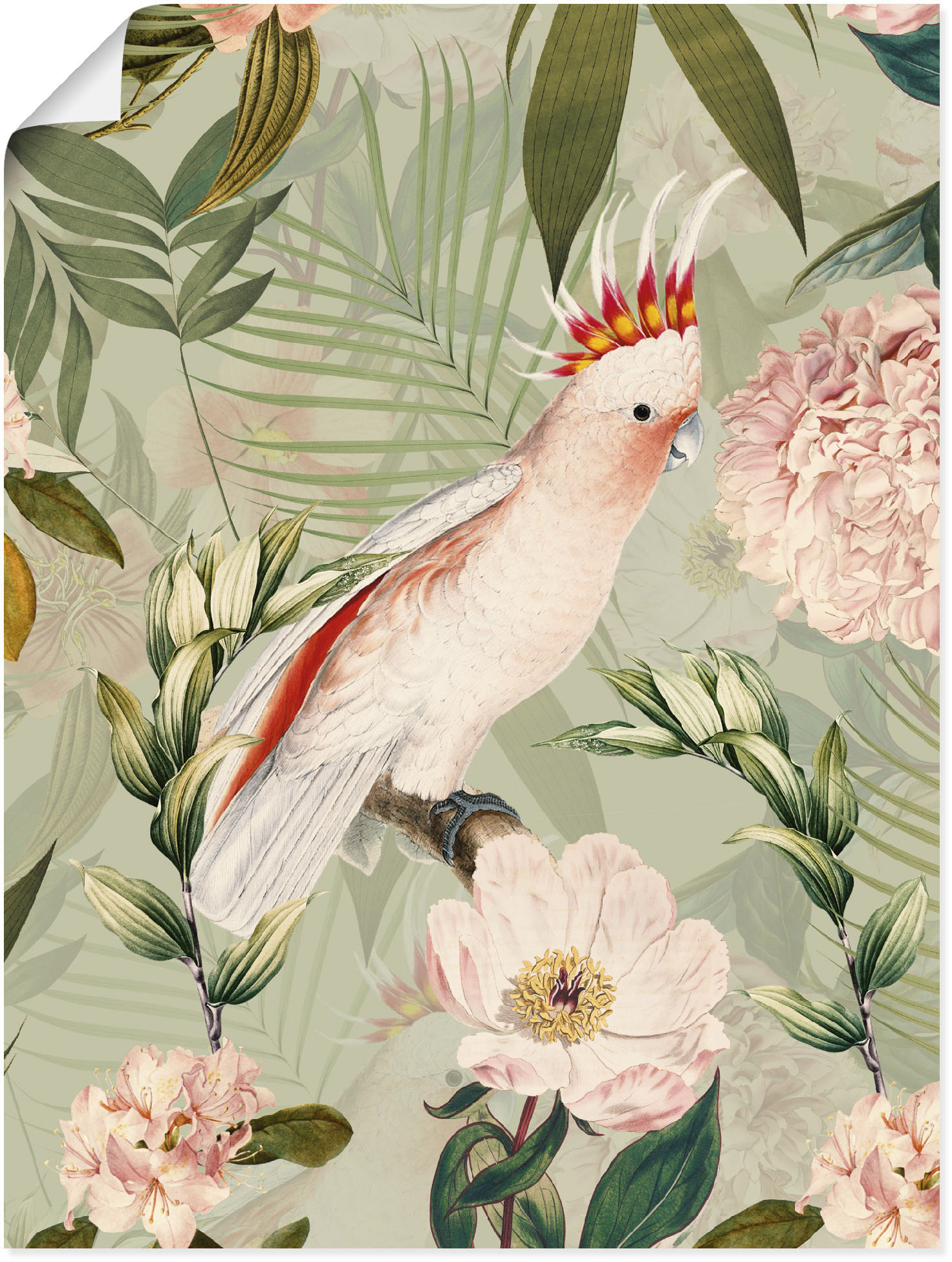 Artland Wandbild "Vintage Papagei", Vogelbilder, (1 St.), als Alubild, Outd günstig online kaufen