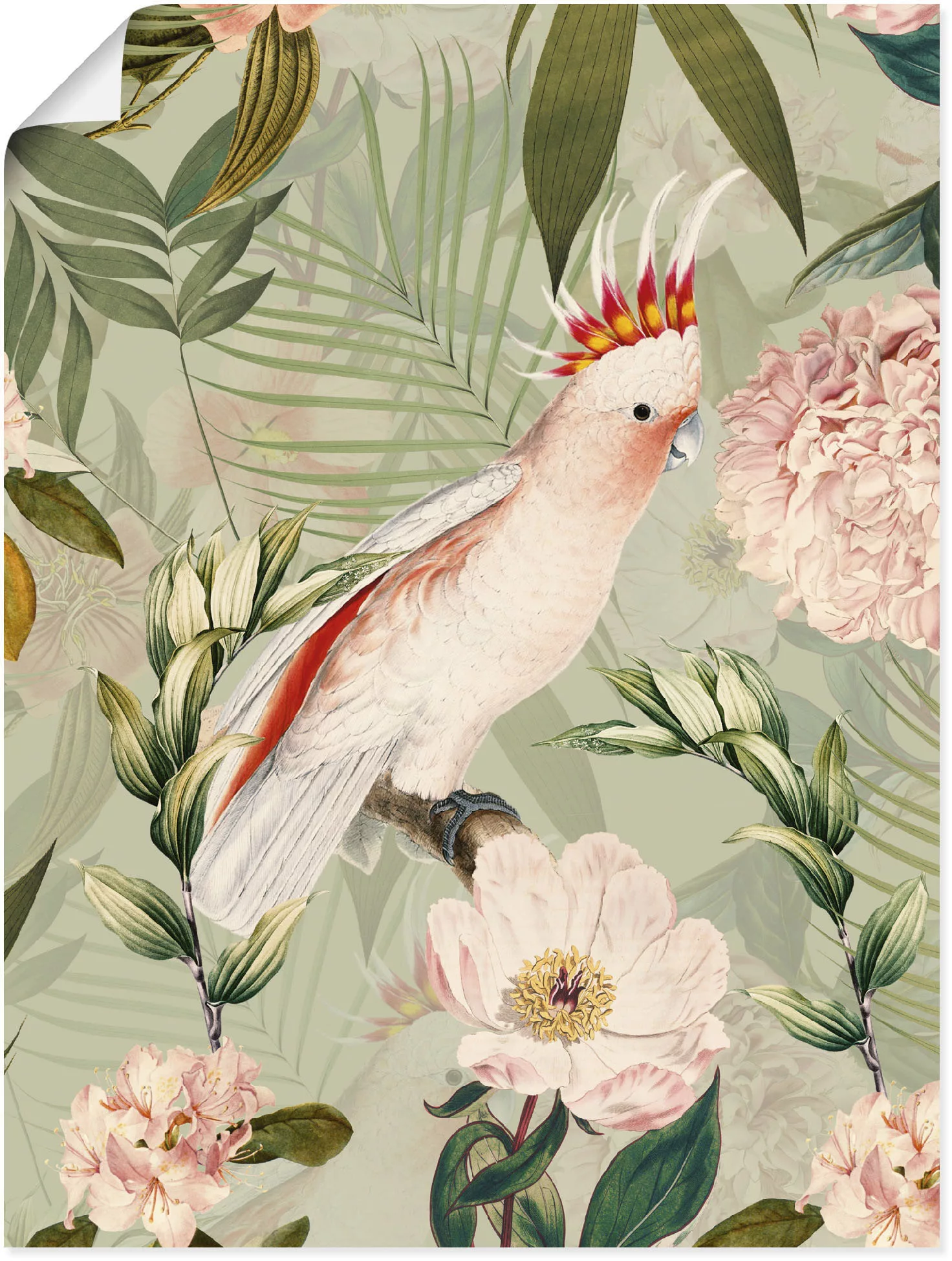 Artland Wandbild »Vintage Papagei«, Vogelbilder, (1 St.), als Alubild, Outd günstig online kaufen