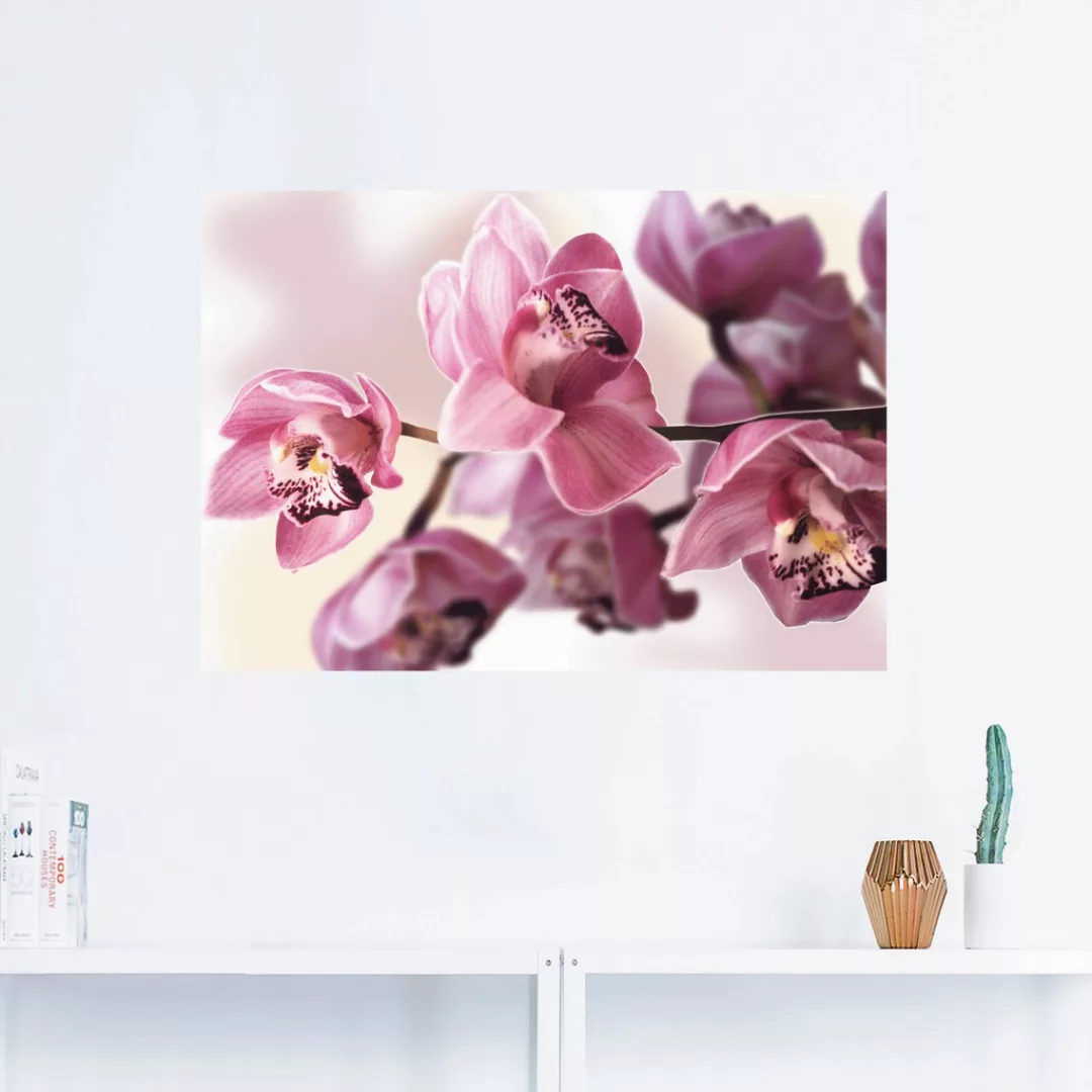 Artland Wandbild »Rosa Orchidee«, Blumenbilder, (1 St.) günstig online kaufen