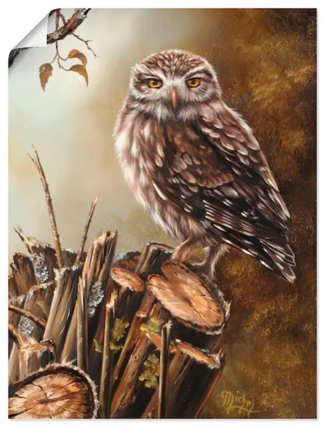 Artland Wandbild "Eule", Vögel, (1 St.), als Leinwandbild, Poster in versch günstig online kaufen