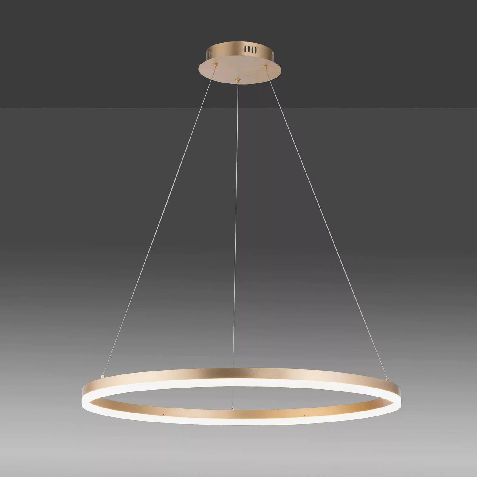 Paul Neuhaus LED-Hängelampe Titus, Ø 80 cm, messing, dimmbar günstig online kaufen