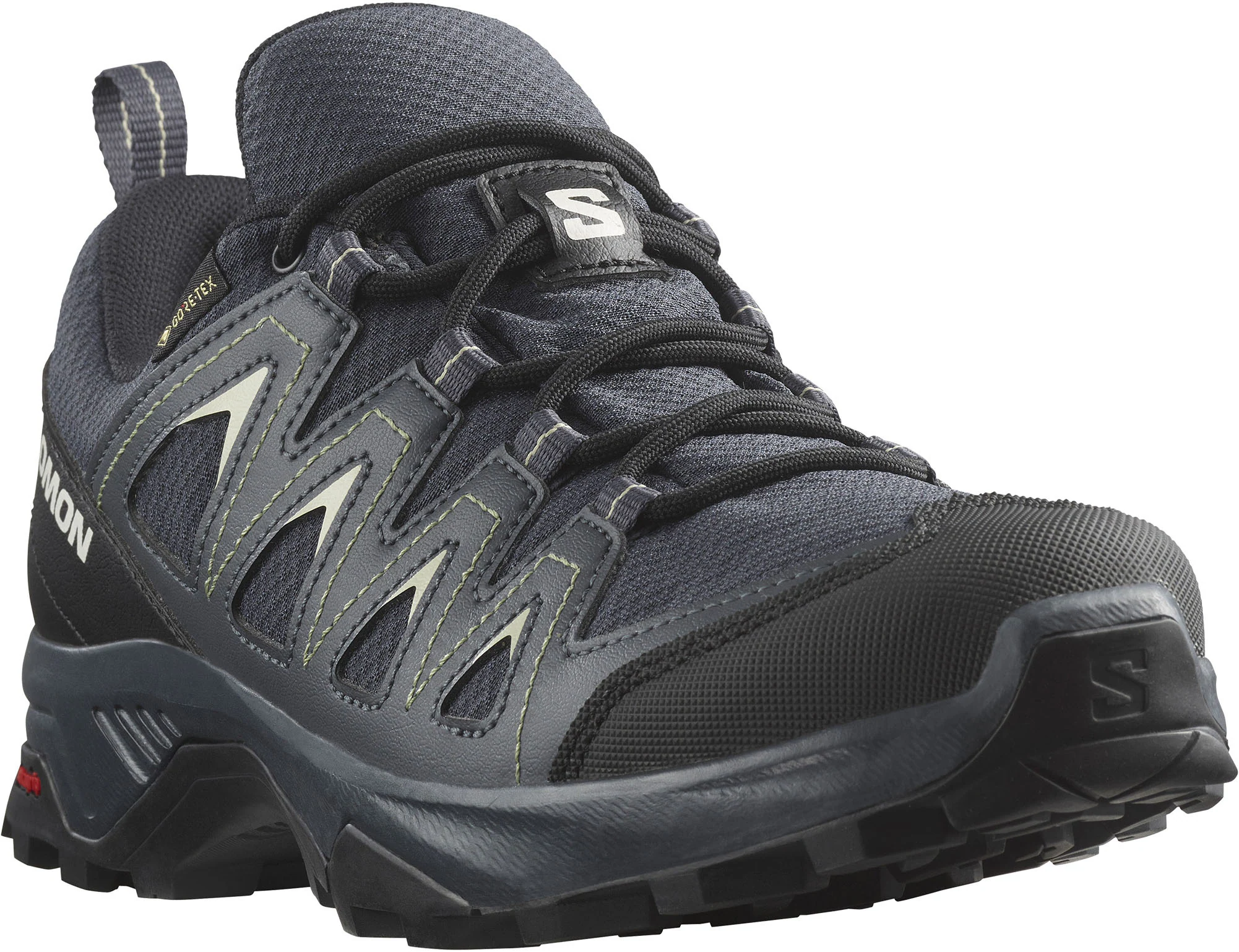 Salomon Wanderschuh "X BRAZE GORE-TEX", wasserdicht günstig online kaufen