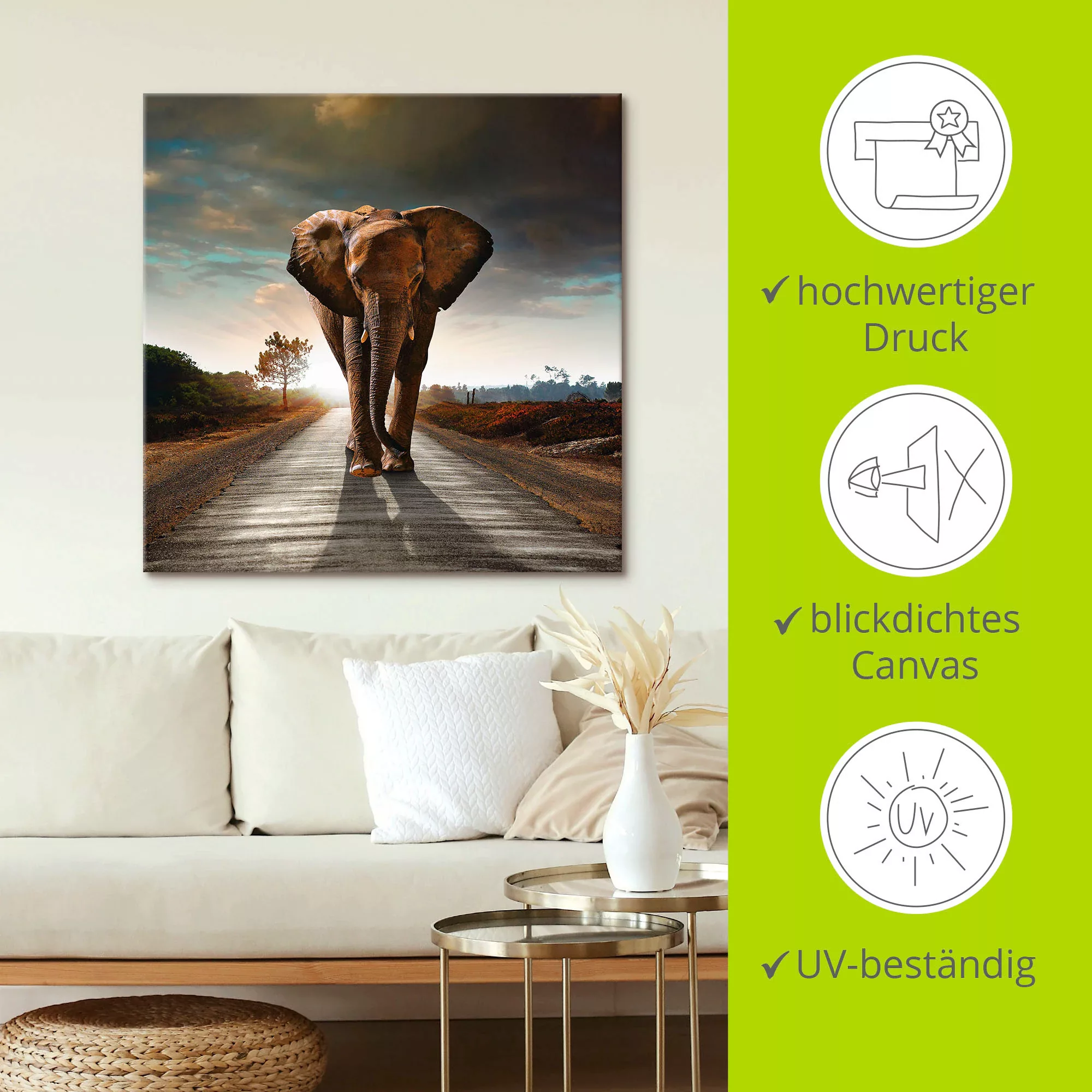 Artland Leinwandbild »Ein Elefant läuft auf der Straße«, Wildtiere, (1 St.) günstig online kaufen