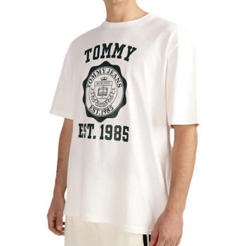 Tommy Hilfiger  T-Shirts & Poloshirts DM0DM18560 günstig online kaufen