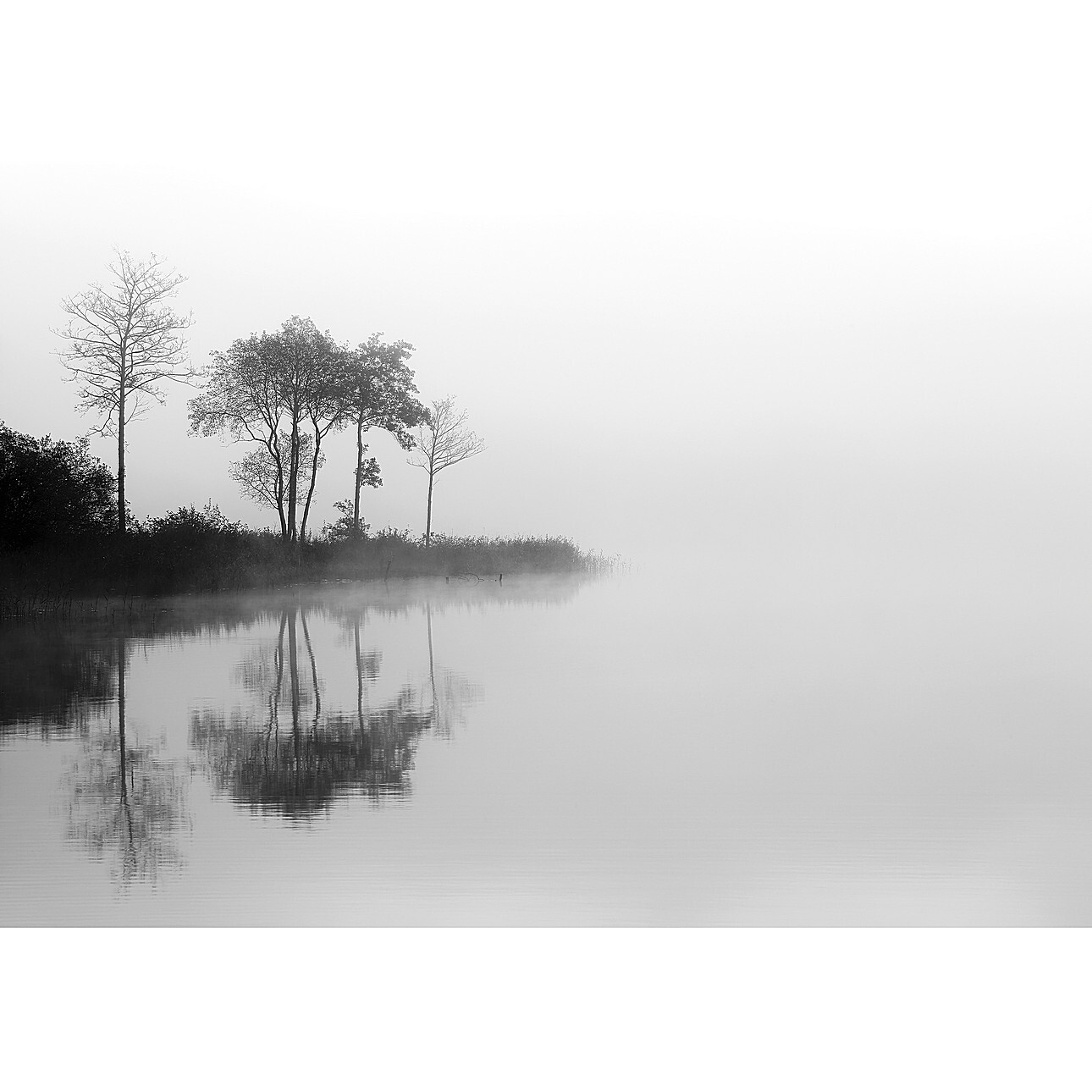 Leinwandbild By the Lake I, 70 x 100 cm günstig online kaufen