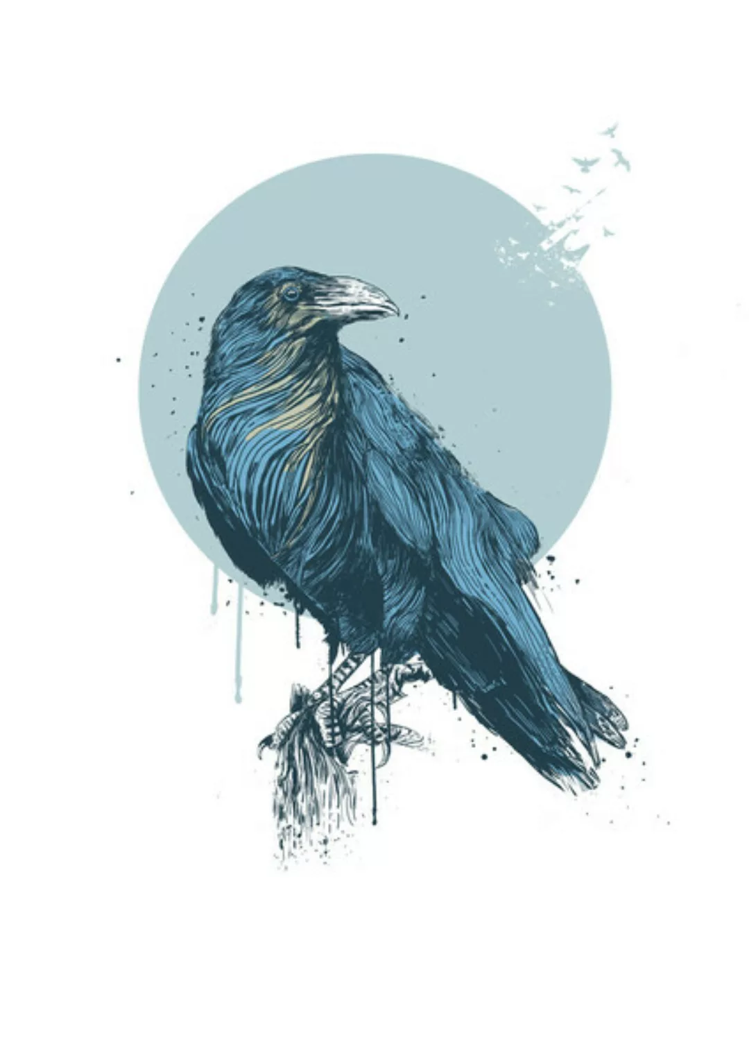 Poster / Leinwandbild - Blue Crow günstig online kaufen