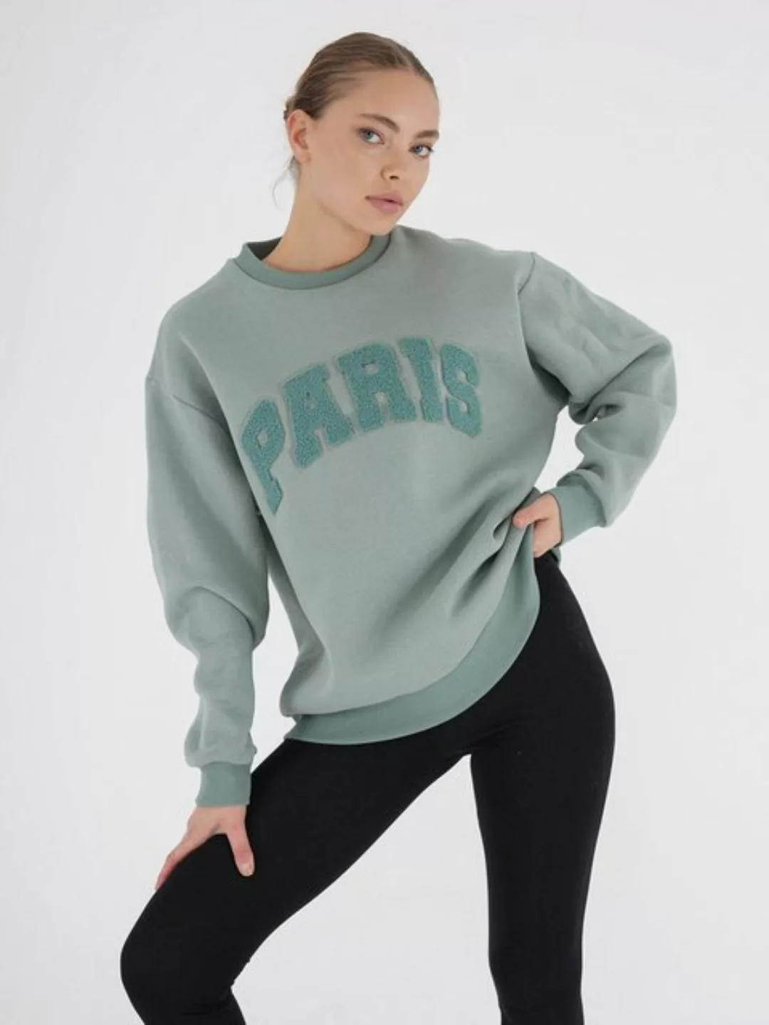 Freshlions Sweater Freshlions Paris Embroidery Oversize Sweater mint S günstig online kaufen