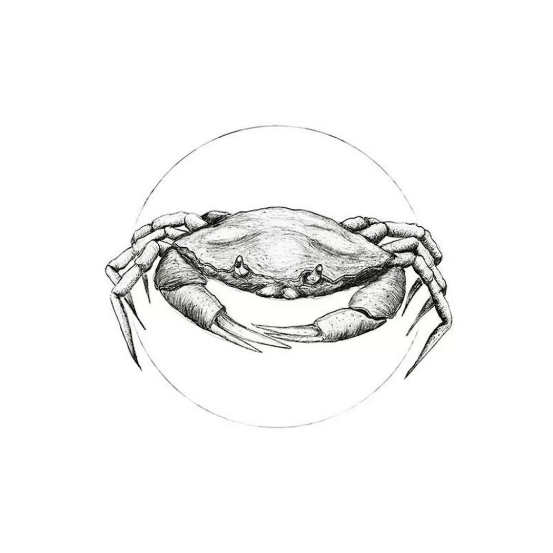Komar Wandbild Crab White Tiere B/L: ca. 40x50 cm günstig online kaufen