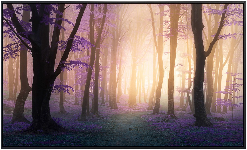 Papermoon Infrarotheizung »Mystischer Fogga Wald«, sehr angenehme Strahlung günstig online kaufen
