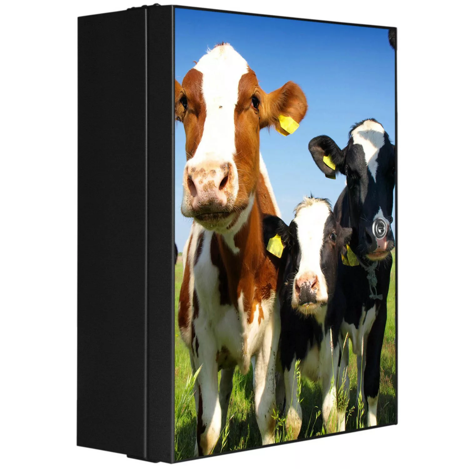 Banjado XXL Medizinschrank Abschliessbar 35x46x15cm Arzneischrank Anthrazit günstig online kaufen