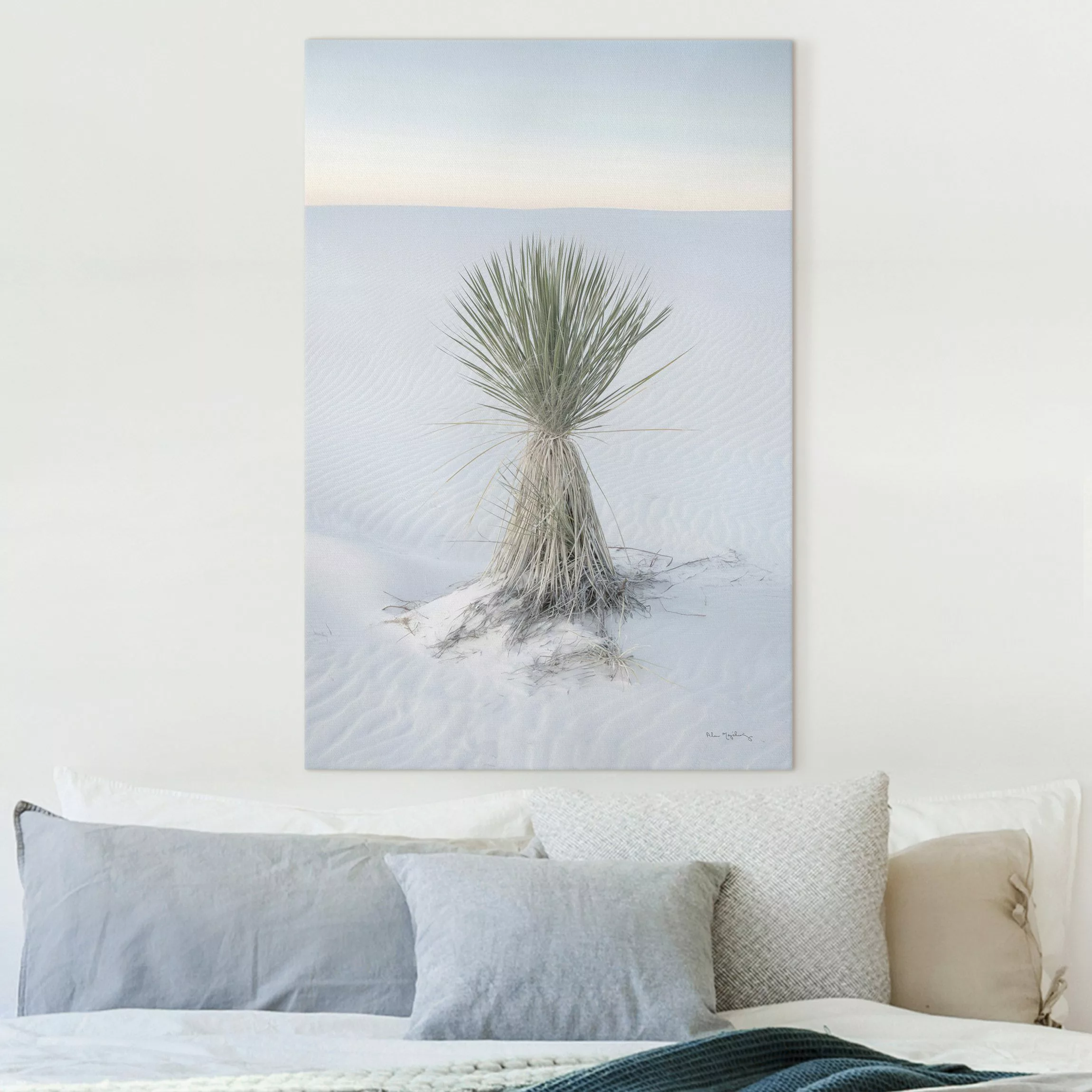 Leinwandbild Yucca Palme in weißem Sand günstig online kaufen