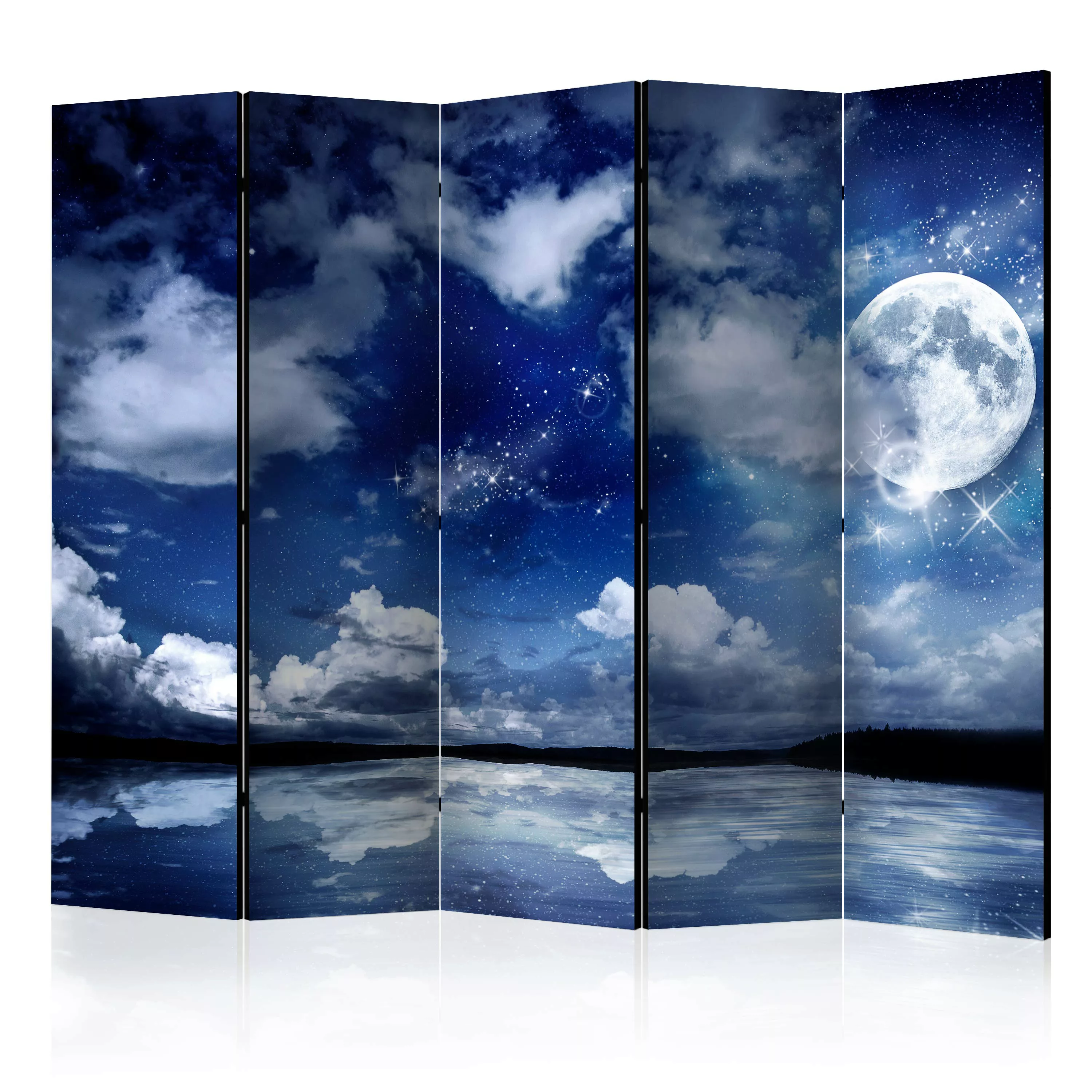 5-teiliges Paravent - Magic Night Ii [room Dividers] günstig online kaufen