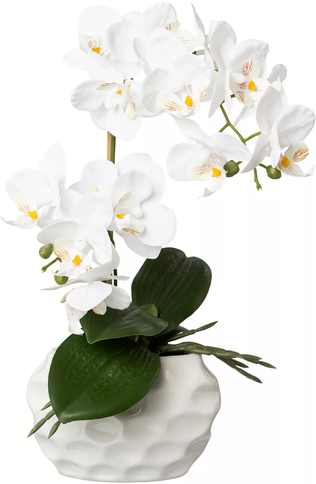 Creativ green Kunstorchidee "Deko-Orchidee Phalaenopsis im Keramiktopf" günstig online kaufen