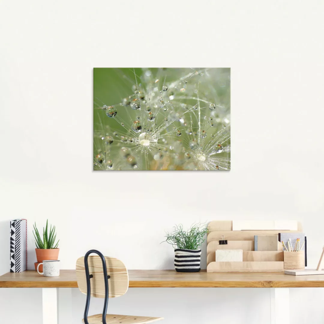 Artland Glasbild "Wassertropfen Pusteblume", Blumen, (1 St.) günstig online kaufen