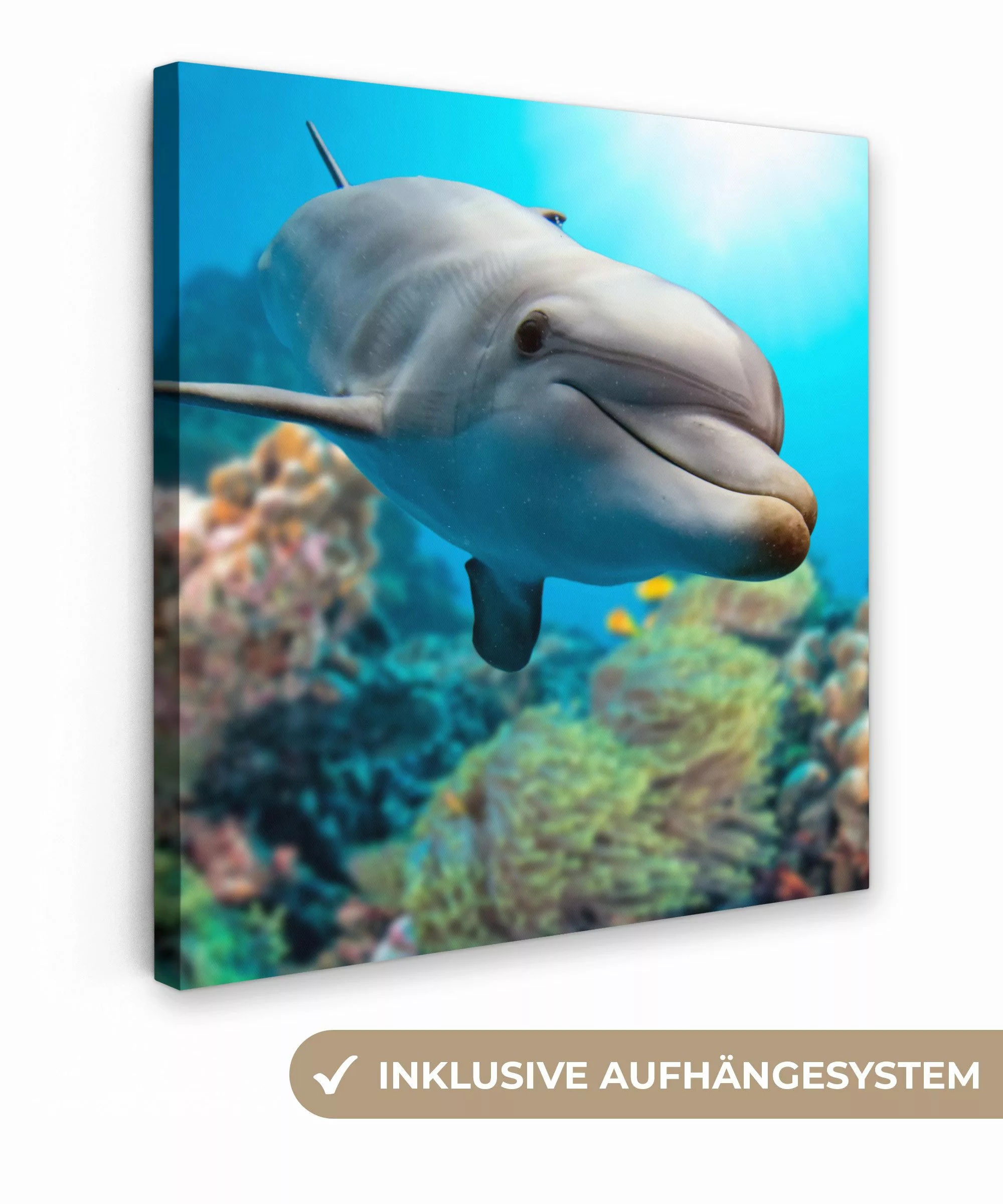OneMillionCanvasses® Leinwandbild Delfin - Meer - günstig online kaufen