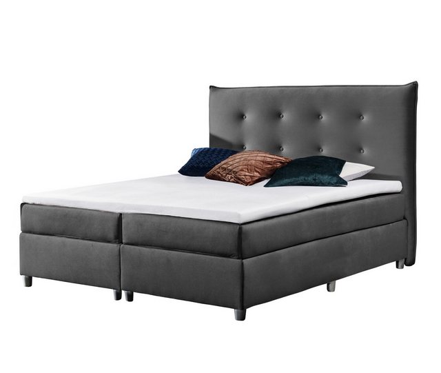 Furnix Boxspringbett NUEVILLE 120/140/160/180x200 gepolstertes Doppelbett m günstig online kaufen