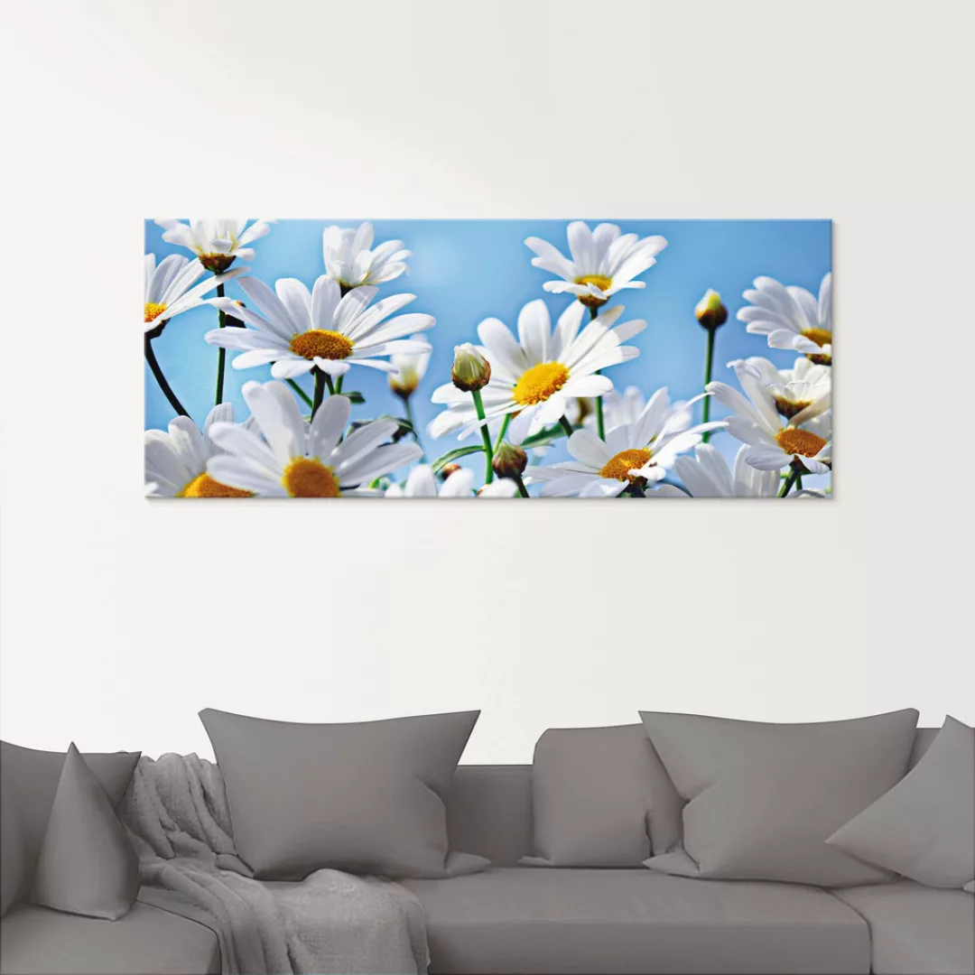 Artland Glasbild "Blumen - Margeriten", Blumen, (1 St.), in verschiedenen G günstig online kaufen