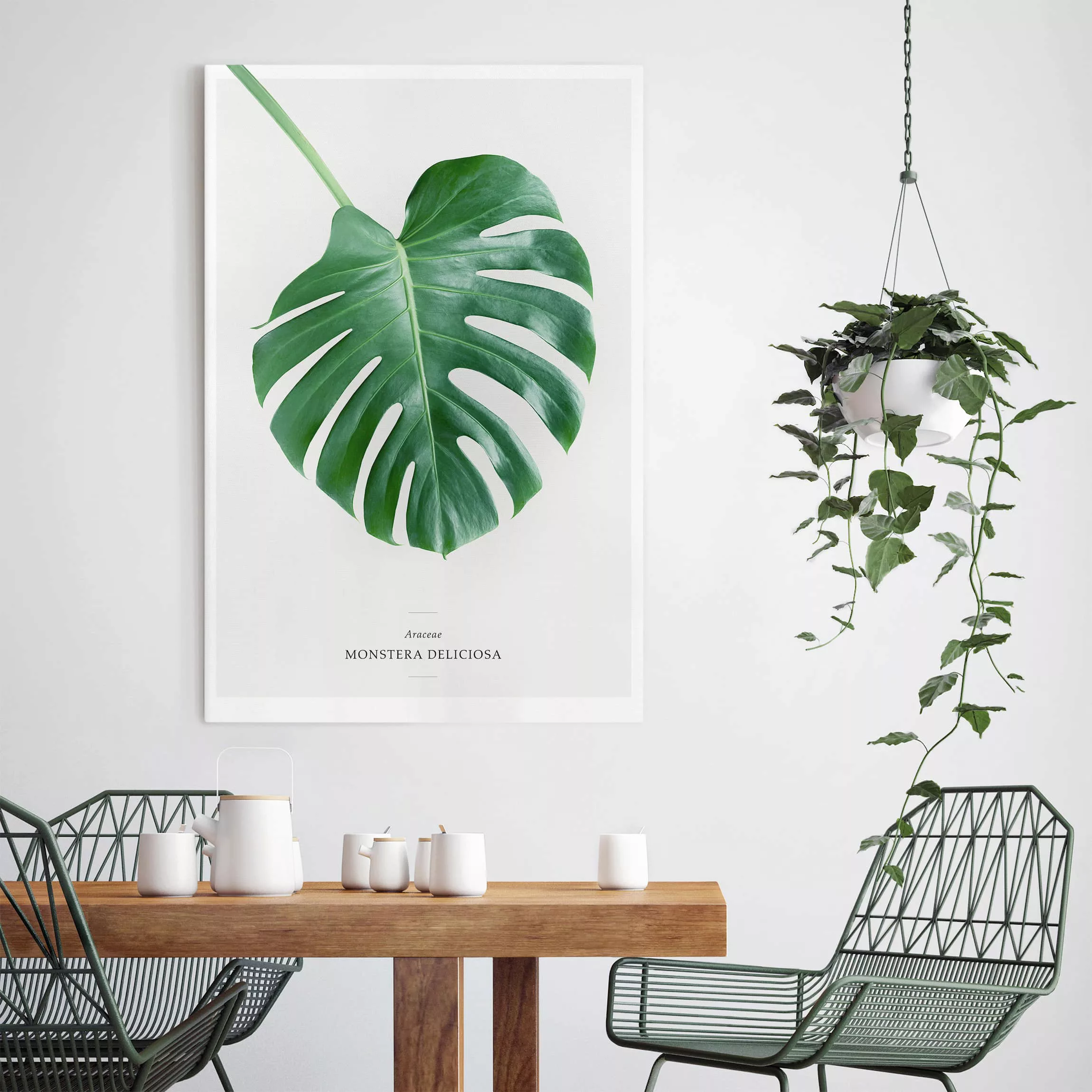 Leinwandbild Botanik - Hochformat Tropisches Blatt Monstera günstig online kaufen